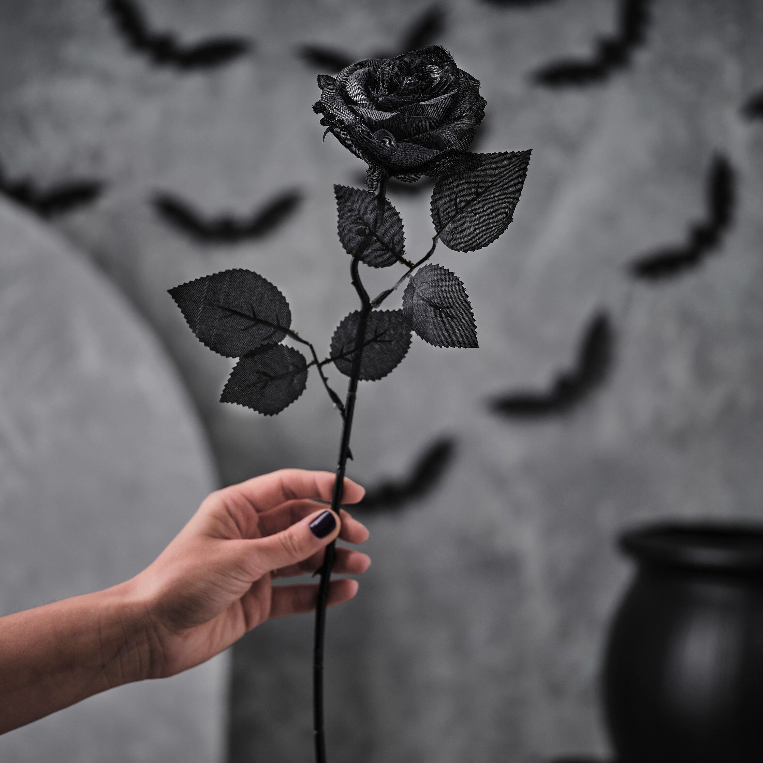 Schwarze Rose, Hand, Fledermäuse, Gothic, Halloween, 2K, Hintergrundbild fürs Tablet