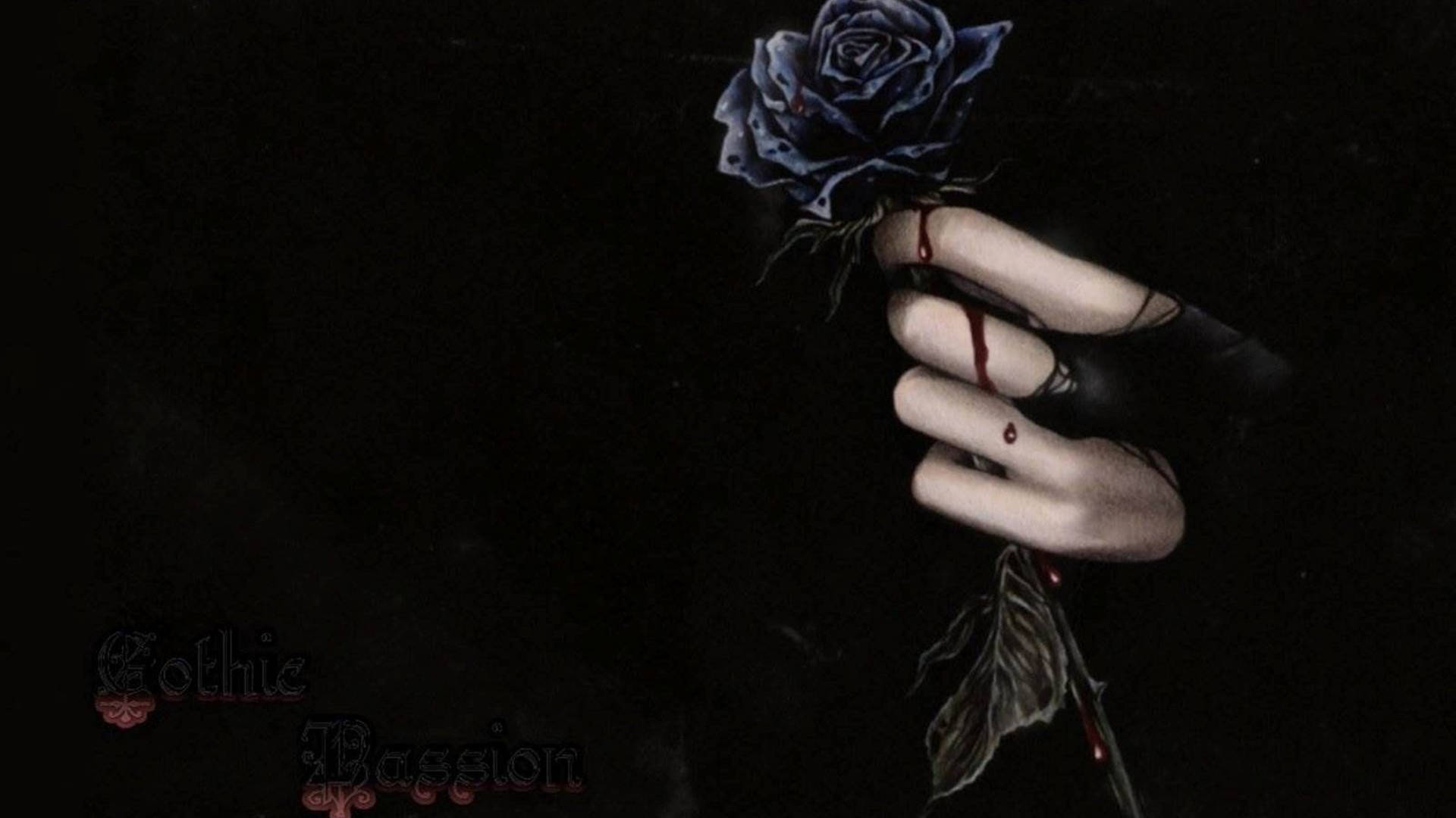 Schwarze Rose, Hand, Blut, Gothic, Schwarzer Hintergrund, Full HD Wallpaper
