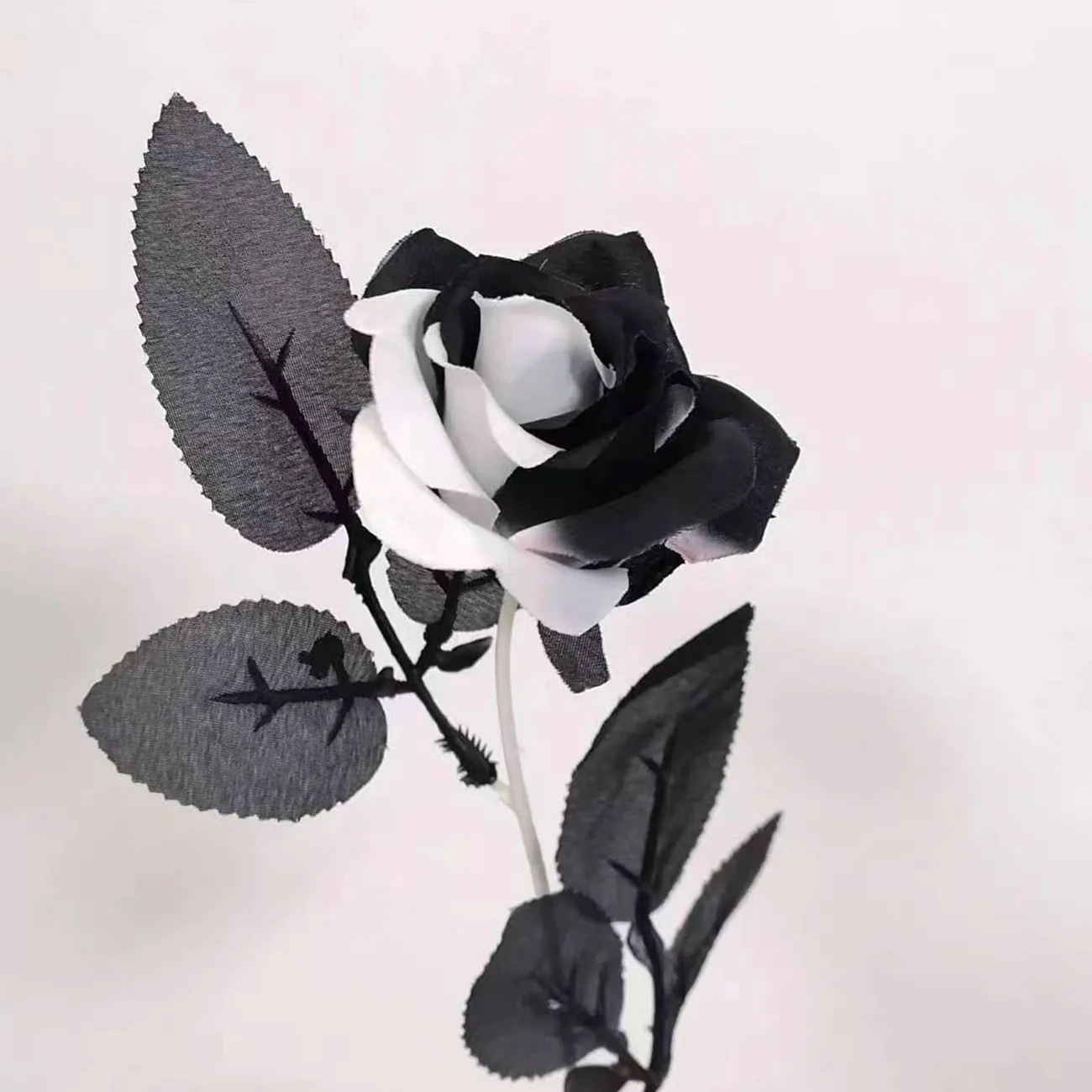 Schwarz-weiße Rose, Blätter, Heller Hintergrund, Kontrast, HD Wallpaper