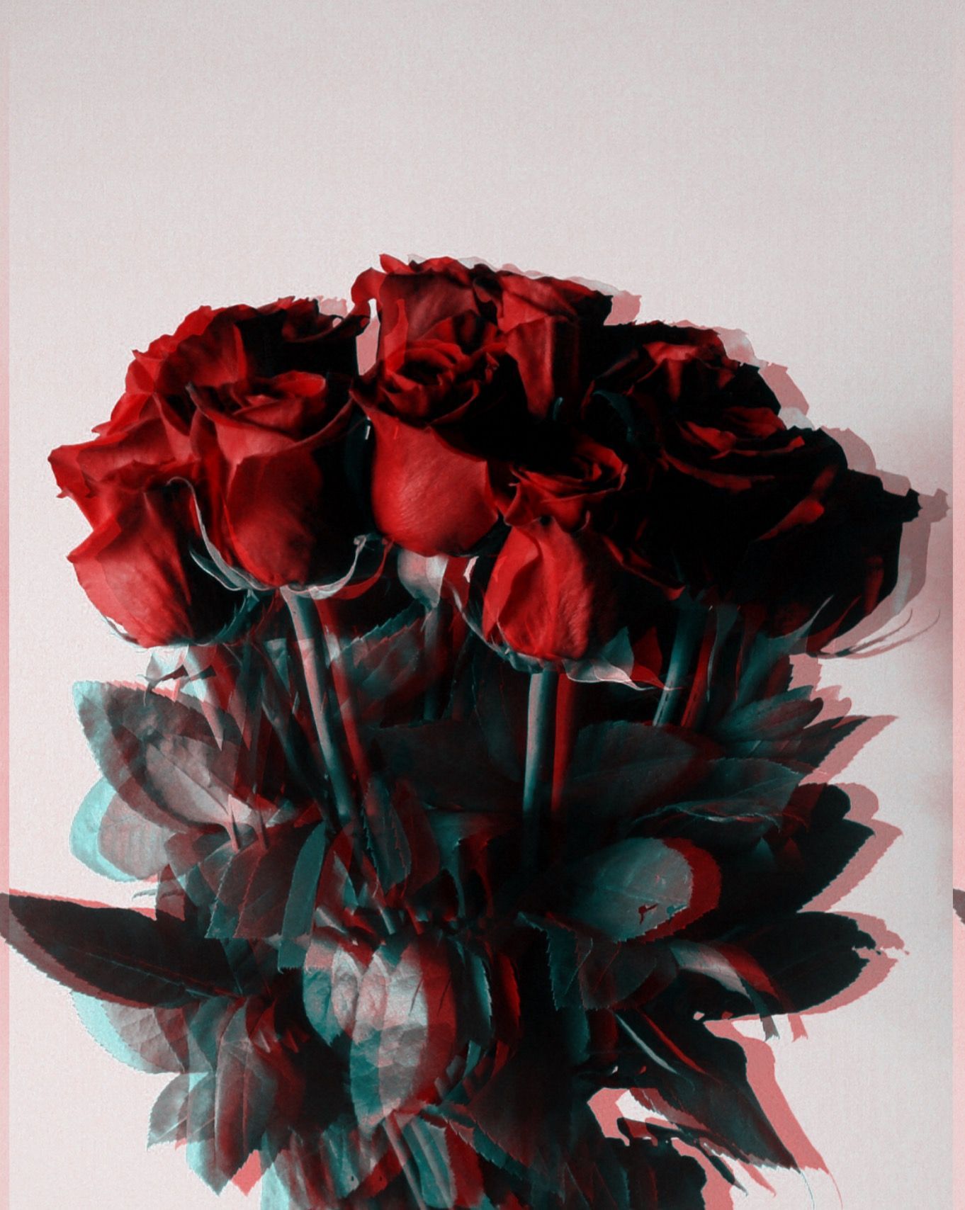 Rote Rosen, Glitch-Effekt, Rosenstrauß, Heller Hintergrund, Full HD Wallpaper