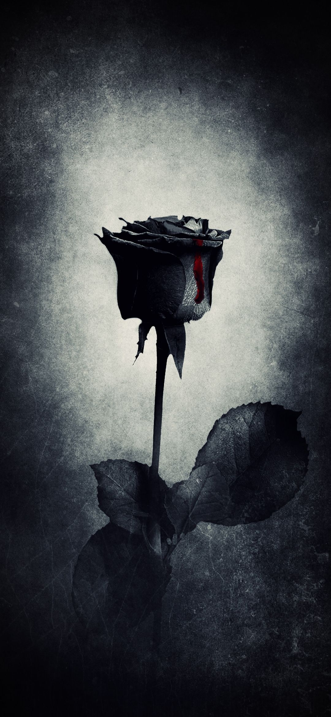 Schwarze Rose, Vignette, Gothic, Dunkel, Stiel, Full HD, Handy-Hintergrund im Hochformat