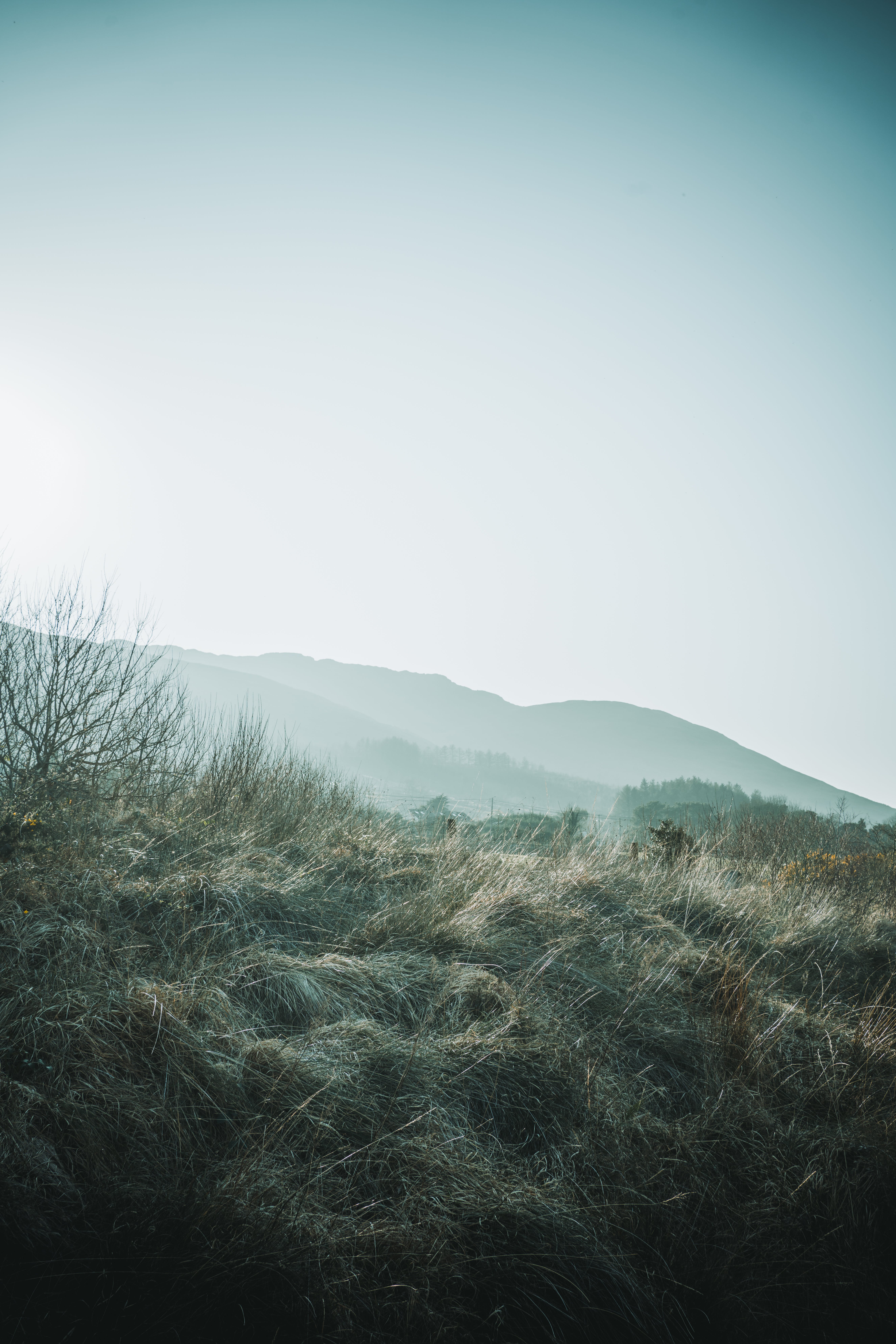 Hügel, Gras, Nebel, Minimalistisch, Grün, QHD+, Hintergrundbild fürs Tablet