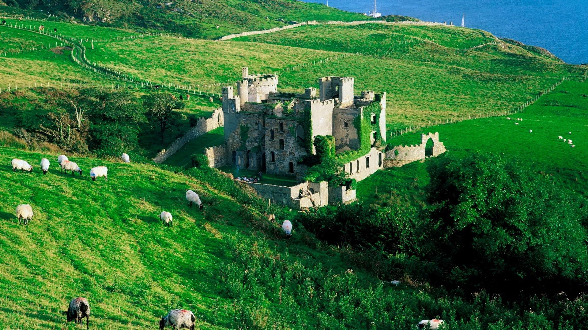 Burgruine, Schafe, Grüne Hügel, Weide, Irland, 1920x1080, Full-HD-Hintergrundbild für PC
