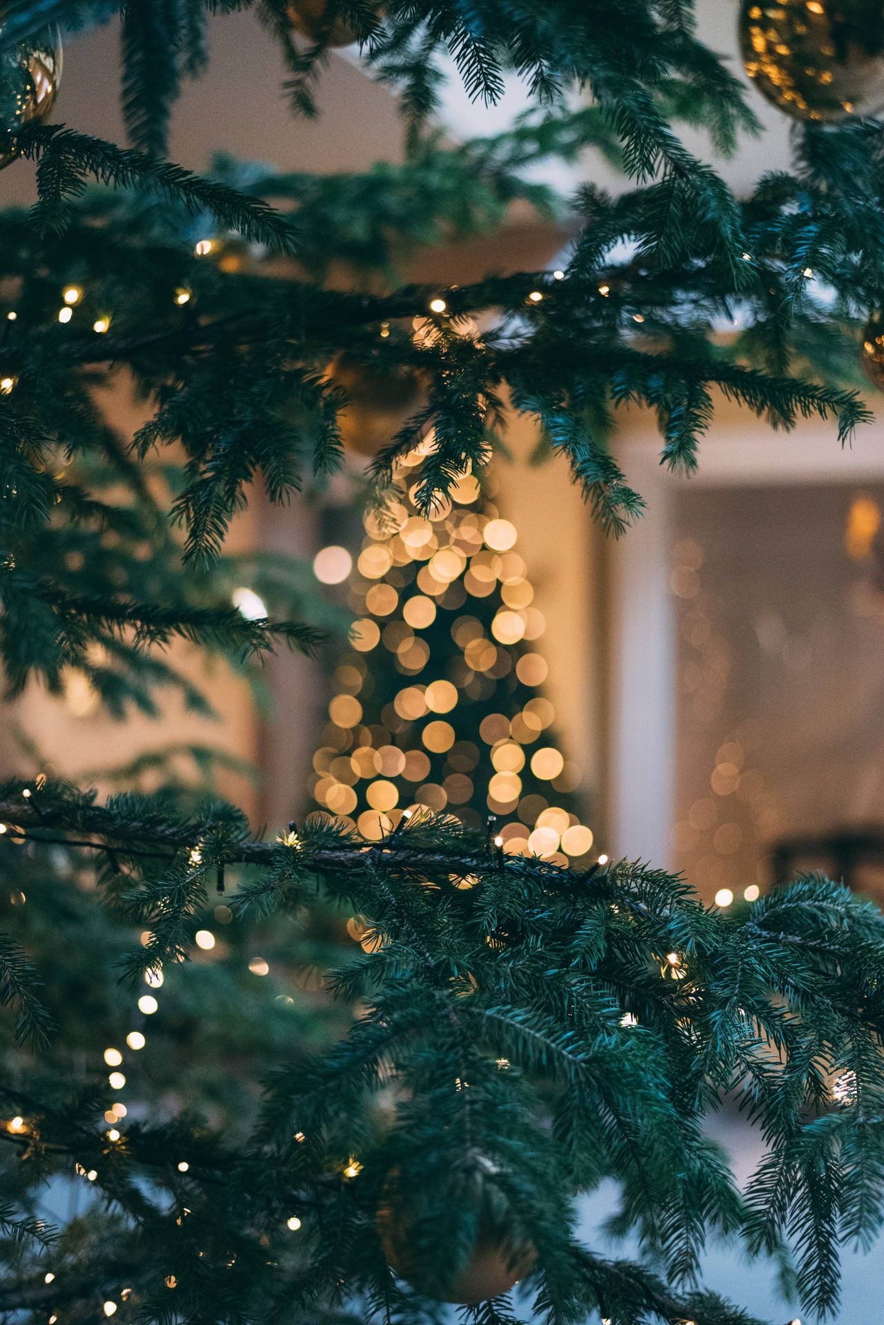 Tannenzweige, Lichterkette, Bokeh, Weihnachtsbaum, Dunkelgrün, Full HD, Tablet-Hintergrund