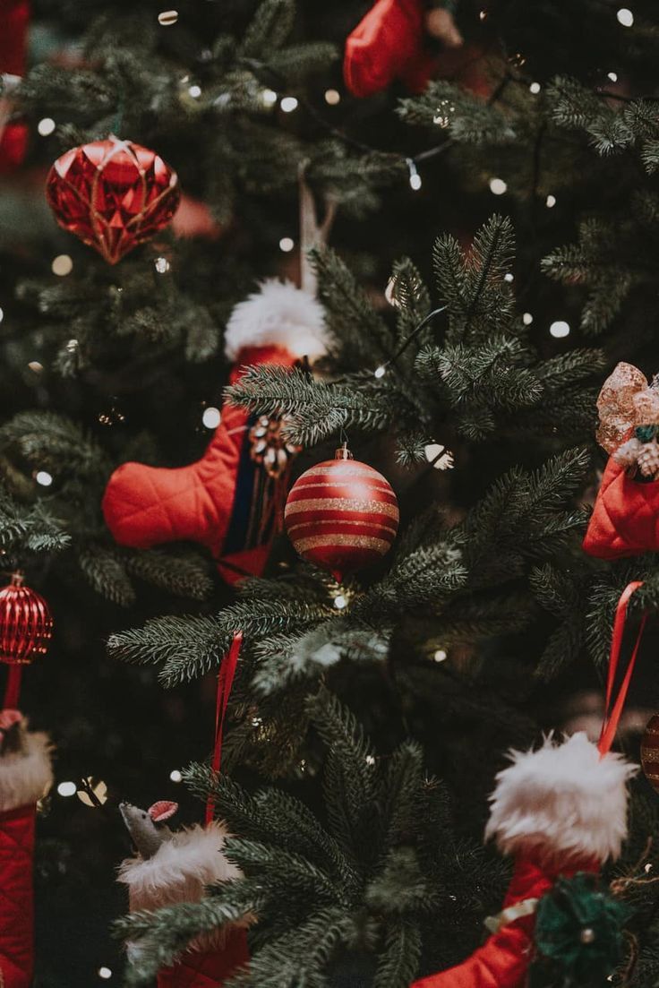 Weihnachtsbaum, Rote Kugeln, Christbaumschmuck, Nahaufnahme, Festlich, HD, Tablet-Hintergrund