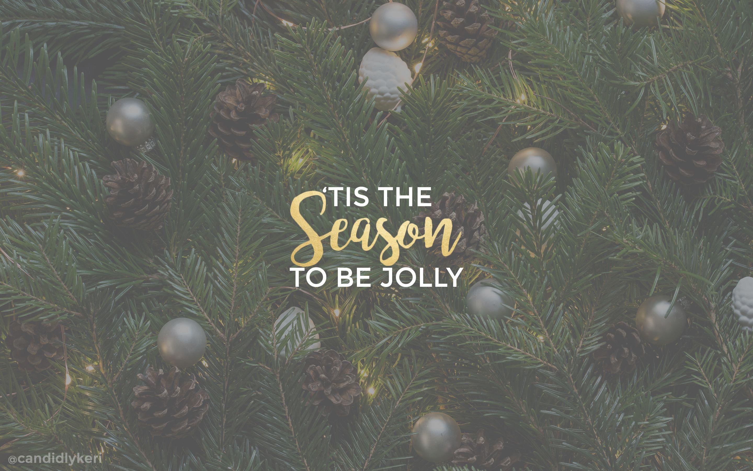 Tis the Season to Be Jolly, Schriftzug, Tannenzweige, Tannenzapfen, 2K, Desktop-Hintergrund