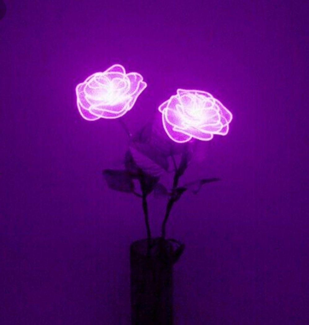 Neonrosen, Rosen, Vase, Lila Licht, Blumen, Hintergrundbild für iPad und Tablet