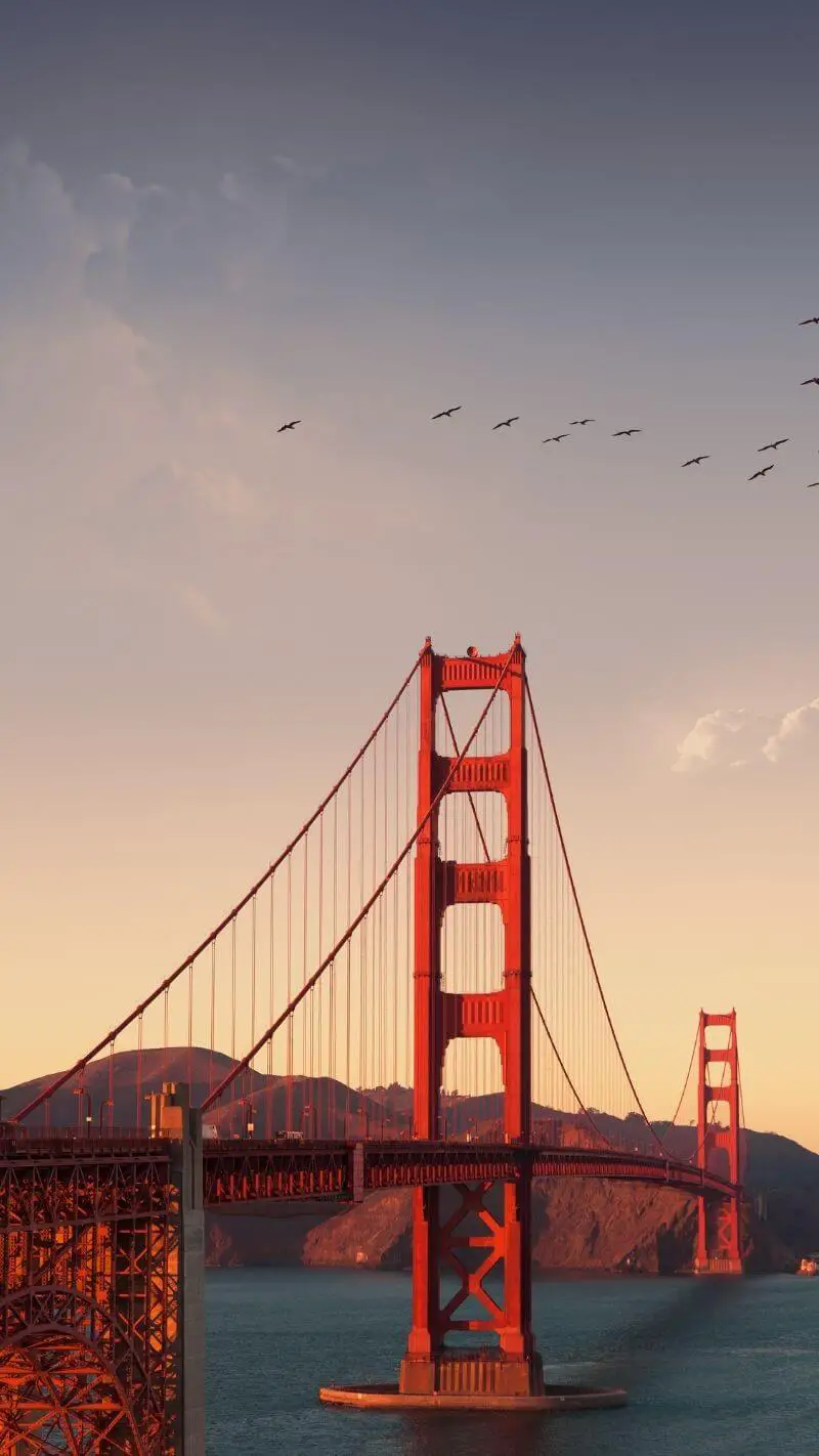 Golden Gate Bridge, San Francisco, Kalifornien, Hängebrücke, Abenddämmerung, Vogelschwarm, iPhone-Hintergrundbild