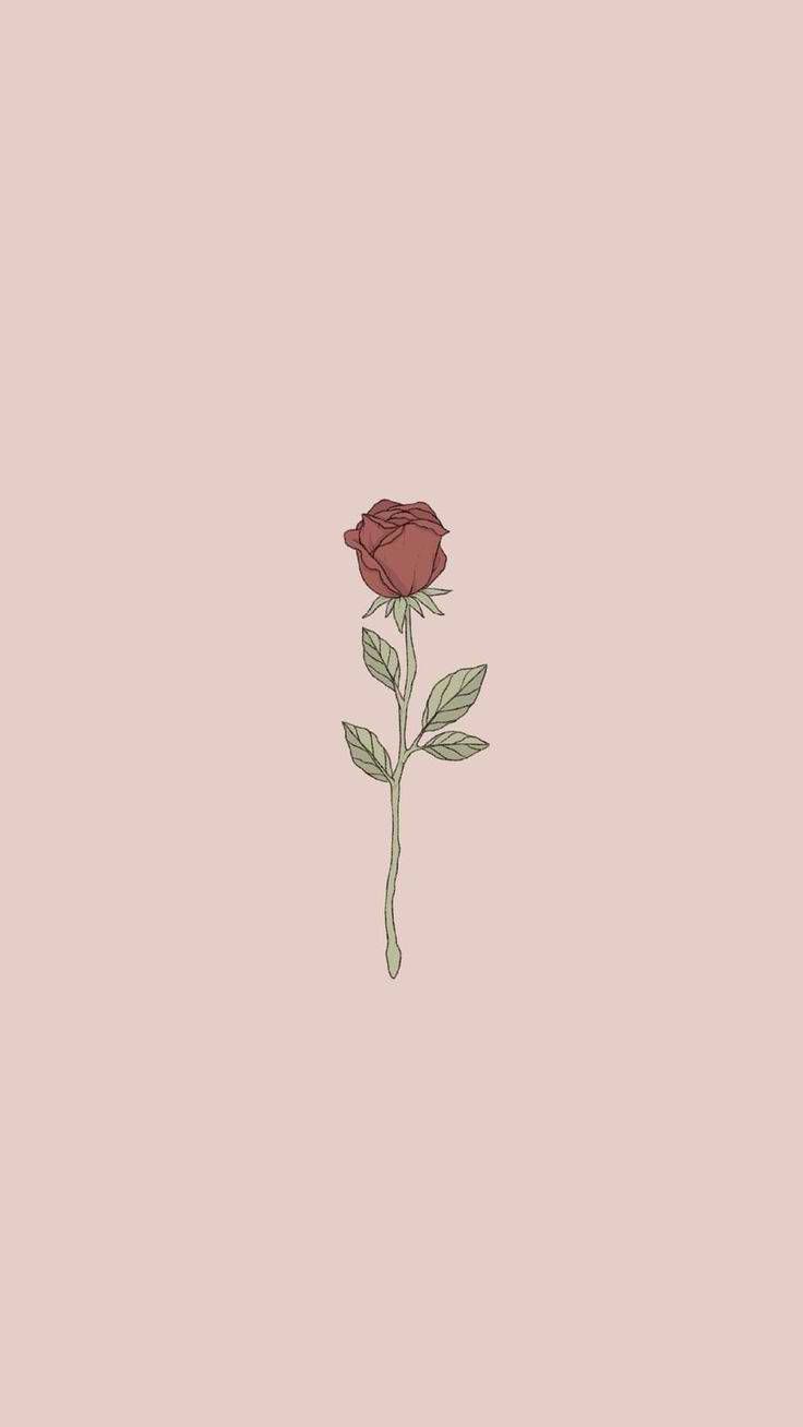 Rose, Altrosa, Minimalistisch, Illustration, HD, Sperrbildschirm fürs iPhone