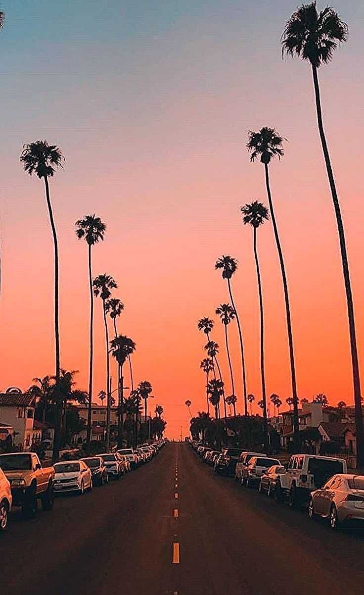 Los Angeles, Kalifornien, Palmen, Sonnenuntergang, Straße, Orangefarbener Himmel, iPhone-Hintergrundbild