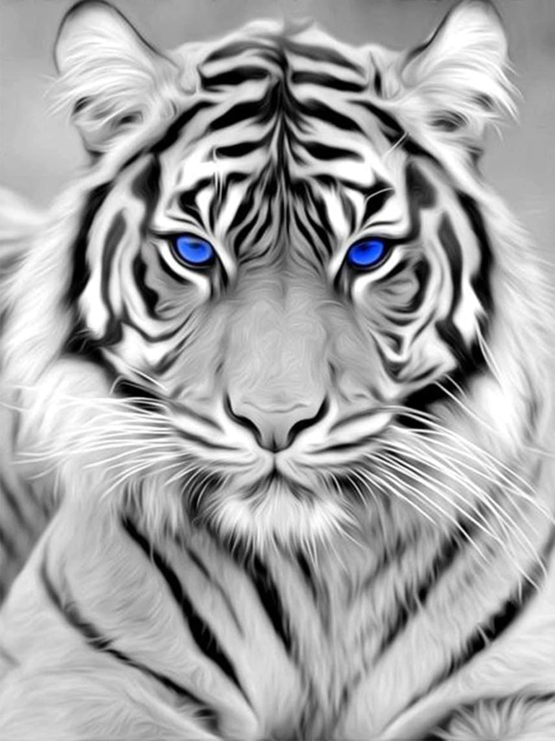 Weißer Tiger, Blaue Augen, Zeichnung, Schwarzweiß, Porträt, QHD+, iPad-Hintergrundbild