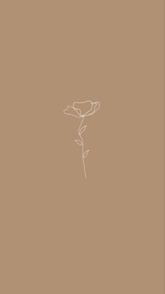 Rose, Strichzeichnung, Braun, Minimalistisch, Line Art, Hochformat, Hintergrundbild fürs Smartphone