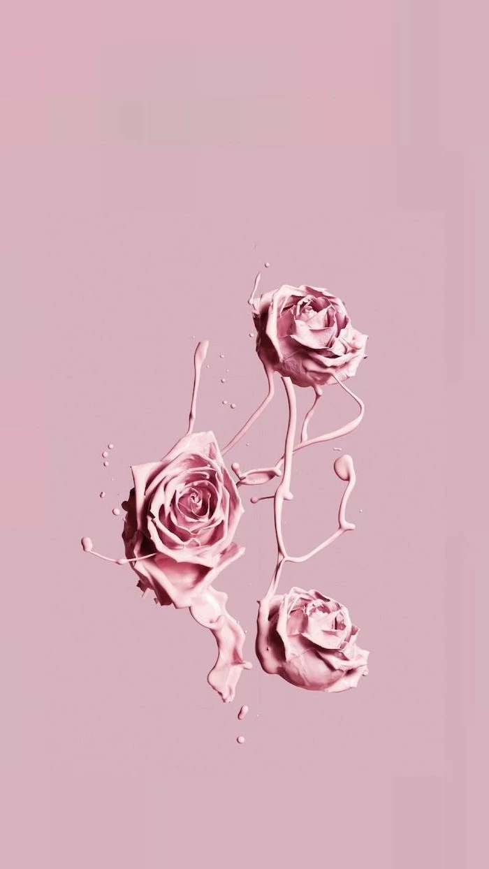 Rosen, Rosa, Altrosa, Minimalistisch, Hintergrundbild für iPhone und Android