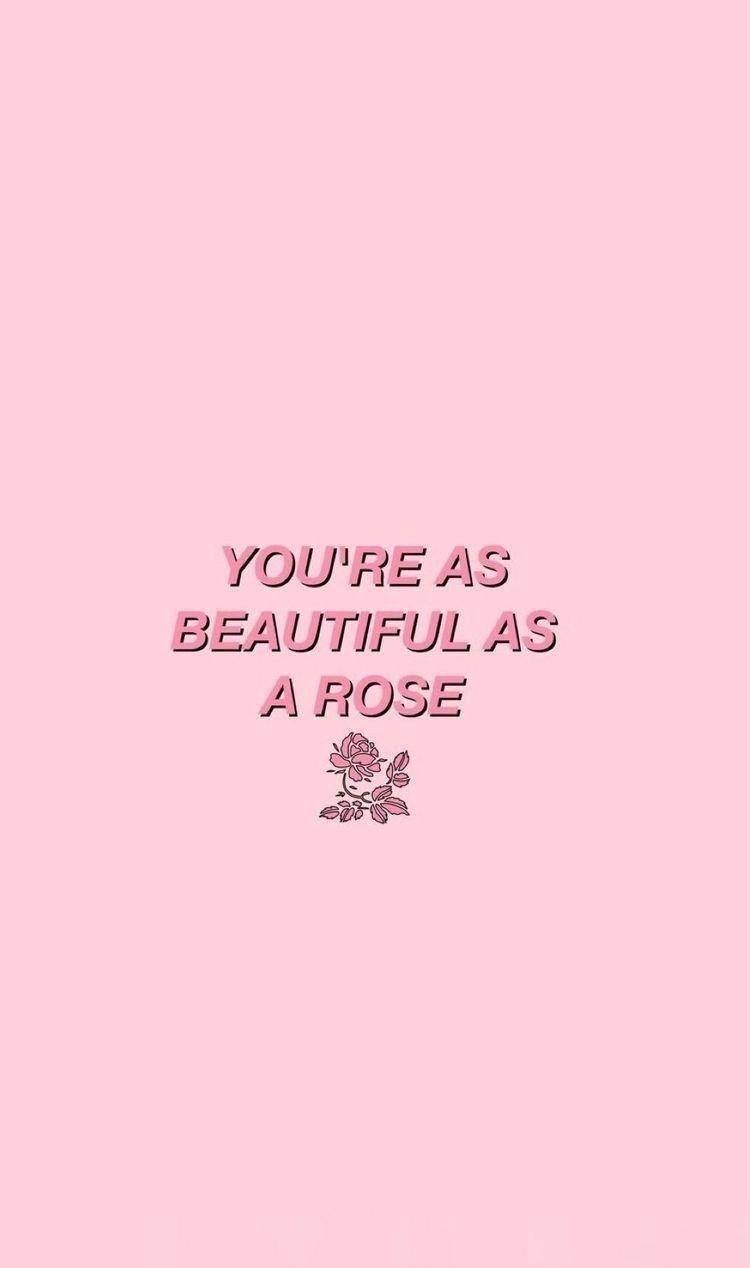You're as beautiful as a rose, Zitat, Rose, Rosa Hintergrund, Sperrbildschirm fürs iPhone