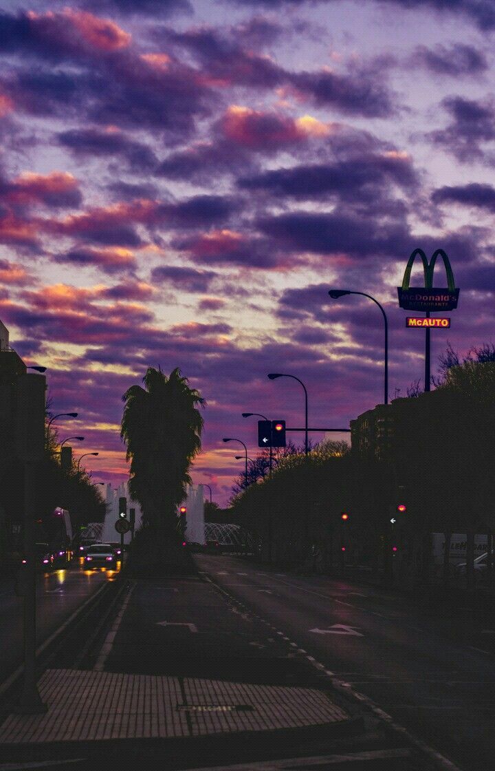 Lila Wolken, Straße, Palmen, Silhouette, Dämmerung, HD, Hintergrundbild fürs Handy