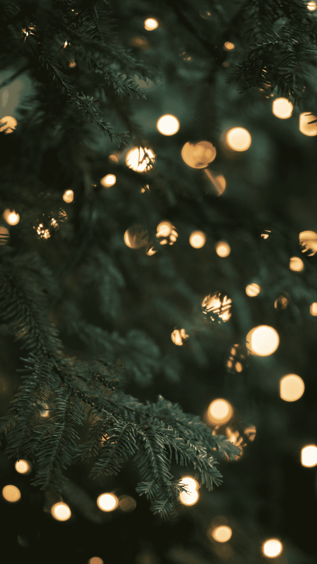 Tannenbaum, Lichterkette, Bokeh, Dunkelgrün, Nahaufnahme, 1080x1920, Handy-Hintergrund