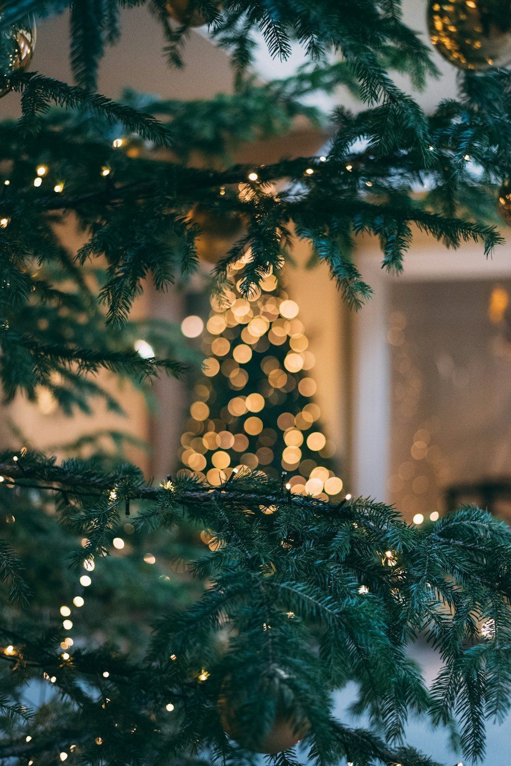 Tannenzweige, Weihnachtsbaum, Lichter, Bokeh, Grün, Hintergrundbild für iPad und Tablet