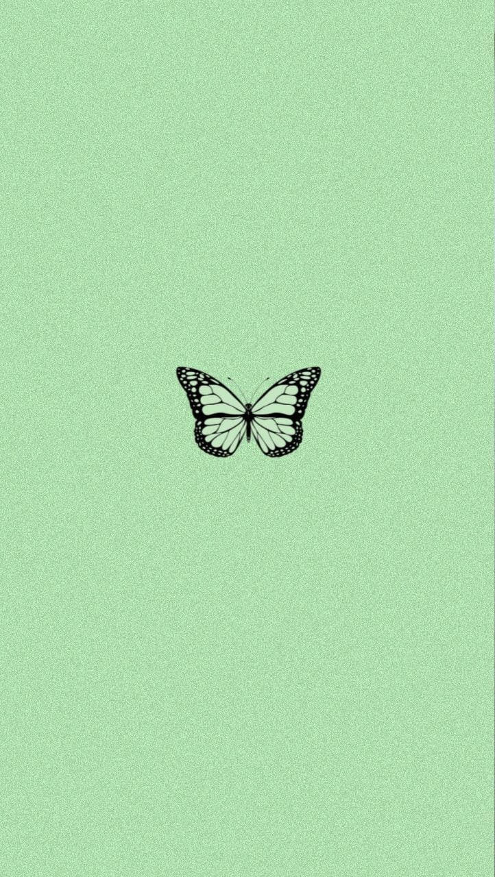 Schmetterling, Mintgrün, Minimalistisch, Strichzeichnung, HD, Handy-Hintergrund