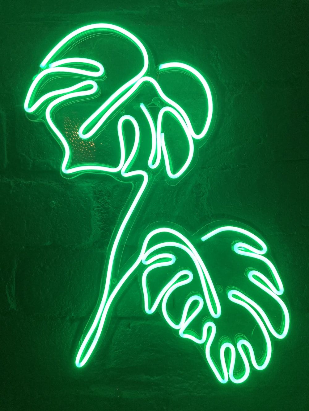 Monstera-Blätter, Neonlicht, Leuchtreklame, Grüne Wand, Linienkunst, HD, Tablet-Hintergrund