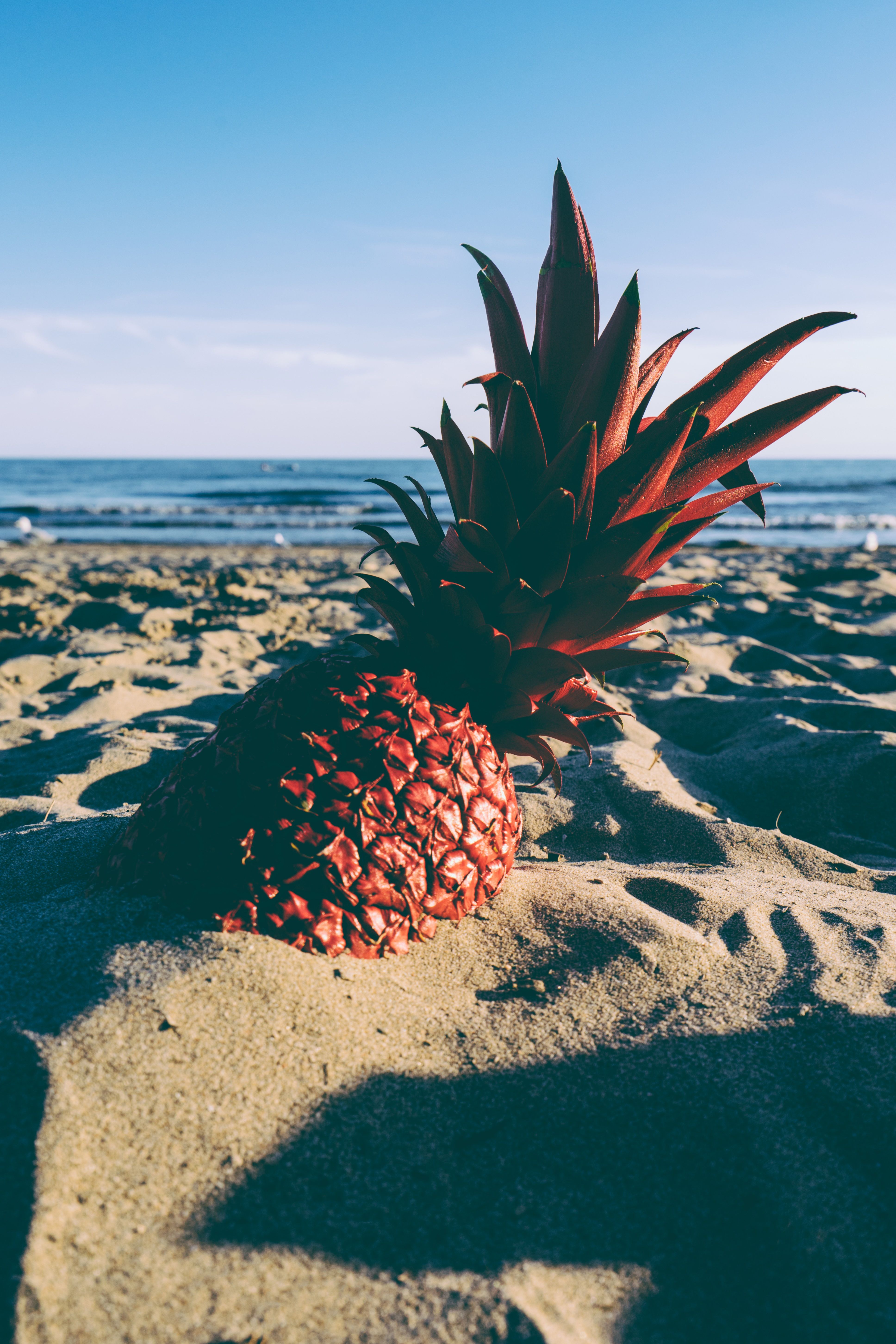 Ananas, Sand, Strand, Sommer, Blauer Himmel, QHD+, Handy-Hintergrund im Hochformat