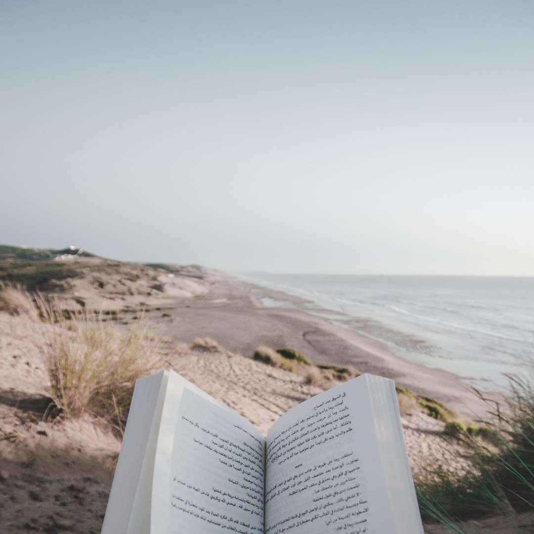 Buch, Dünen, Strand, Lesen, Hintergrundbild für iPad und Tablet