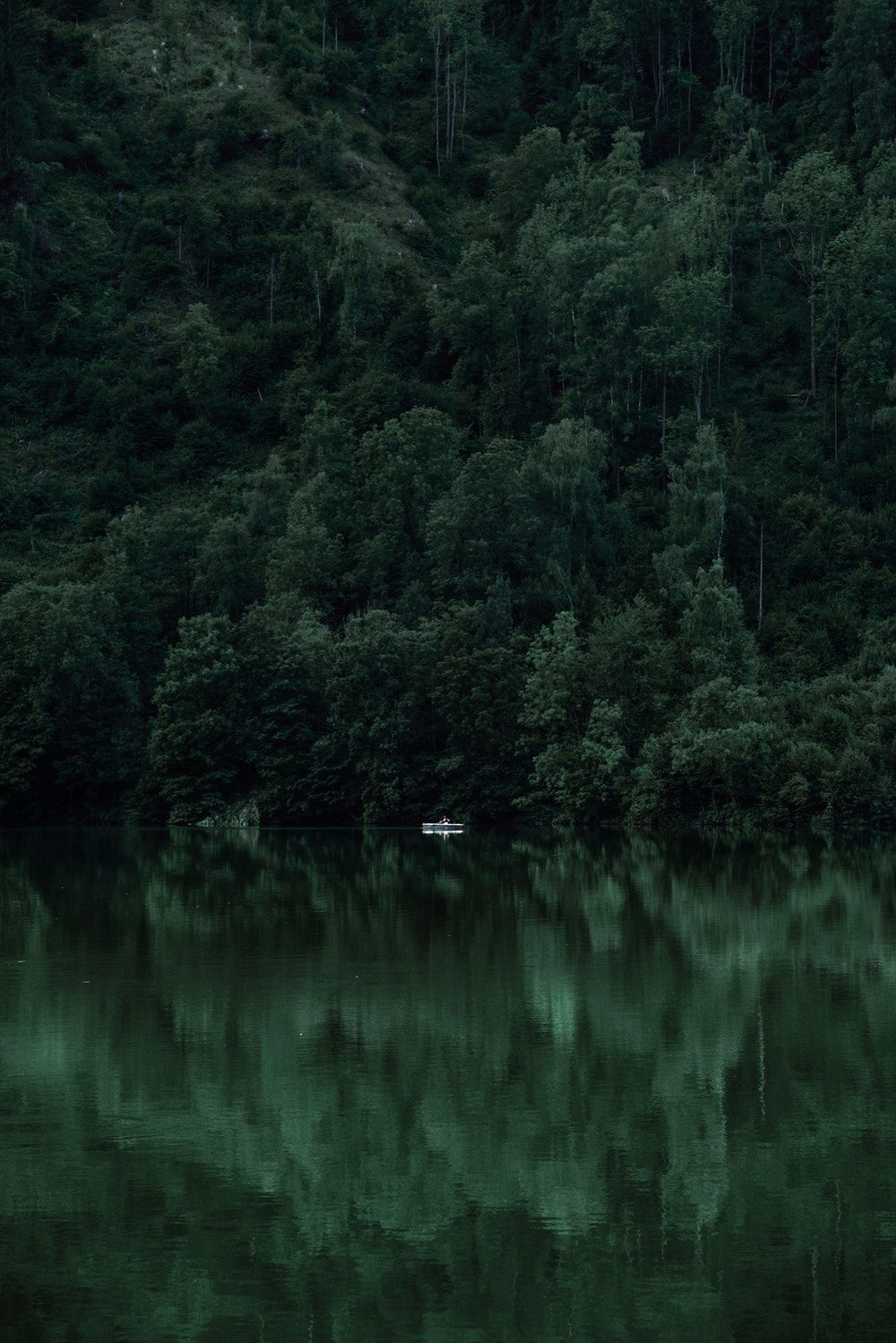 Waldsee, Dunkler Wald, Spiegelung, Nadelwald, Grüntöne, Hintergrundbild für iPad und Tablet