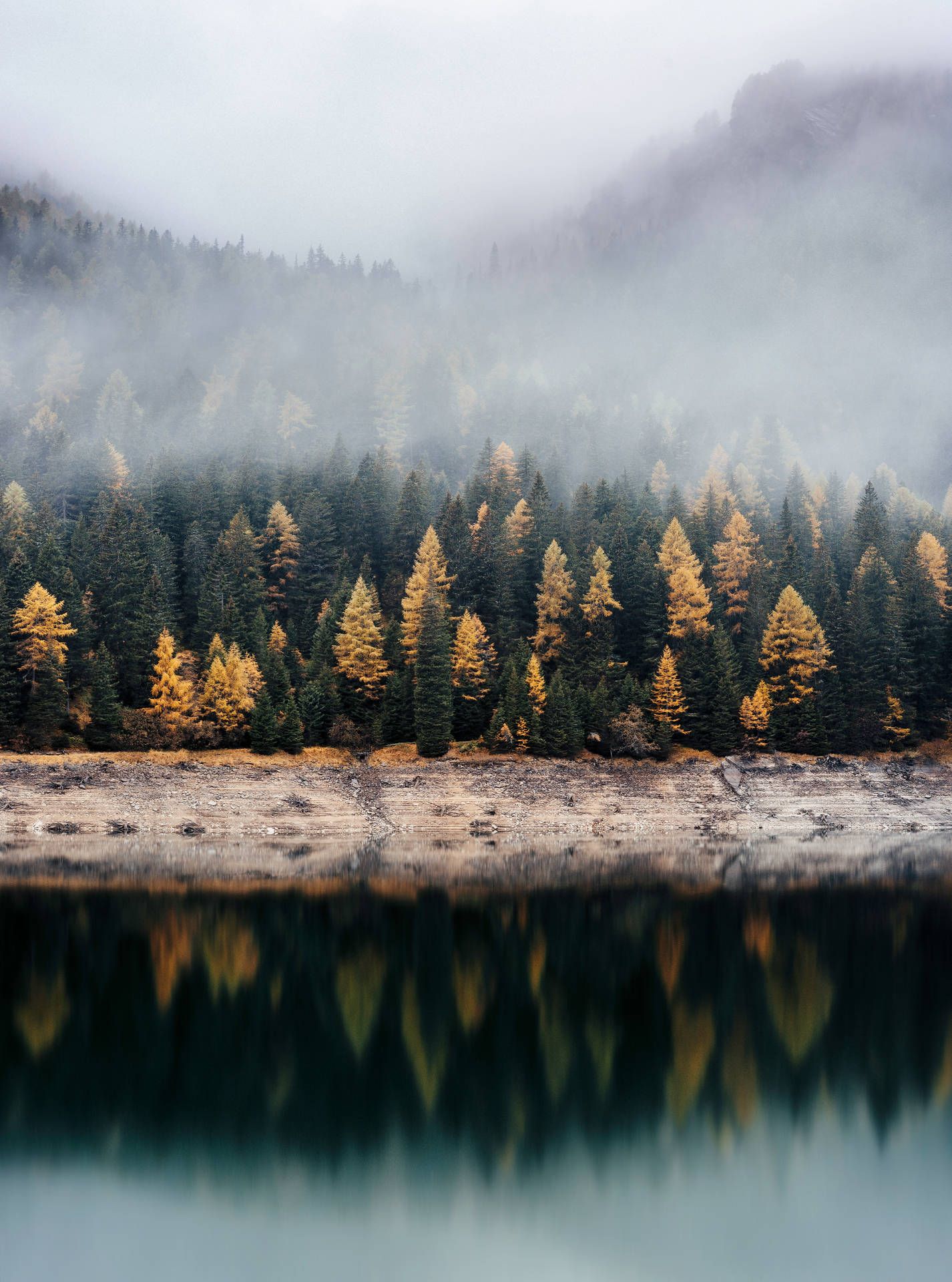 Bergsee, Nebel, Lärchen, Herbst, Stille, Full HD, Hintergrundbild fürs Tablet