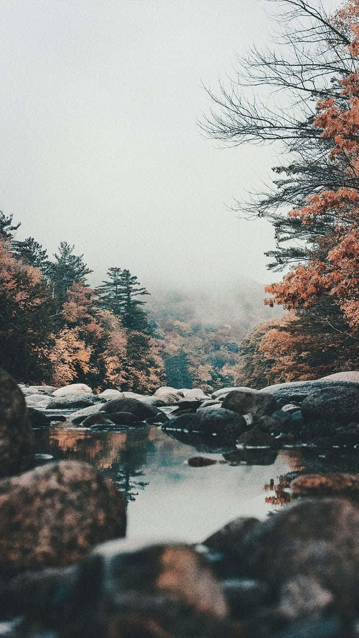 Bach, Felsen, Herbstwald, Nebel, Bergtal, HD, Sperrbildschirm fürs iPhone