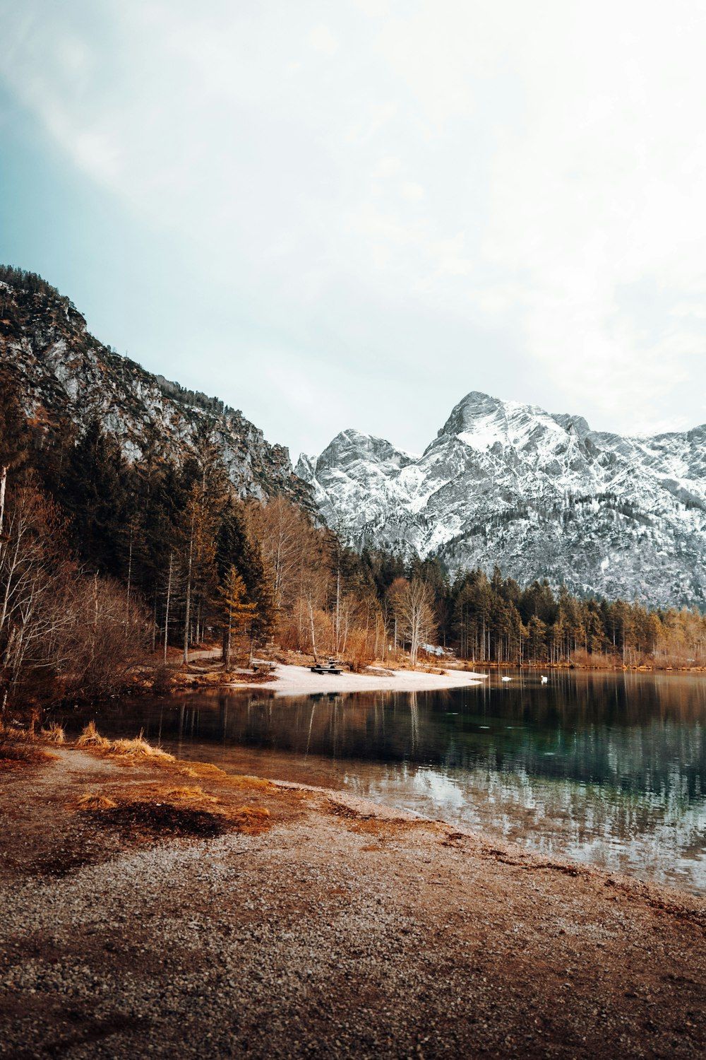 Bergsee, Schneegipfel, Nadelwald, Ufer, Alpen, HD, Handy-Hintergrund im Hochformat