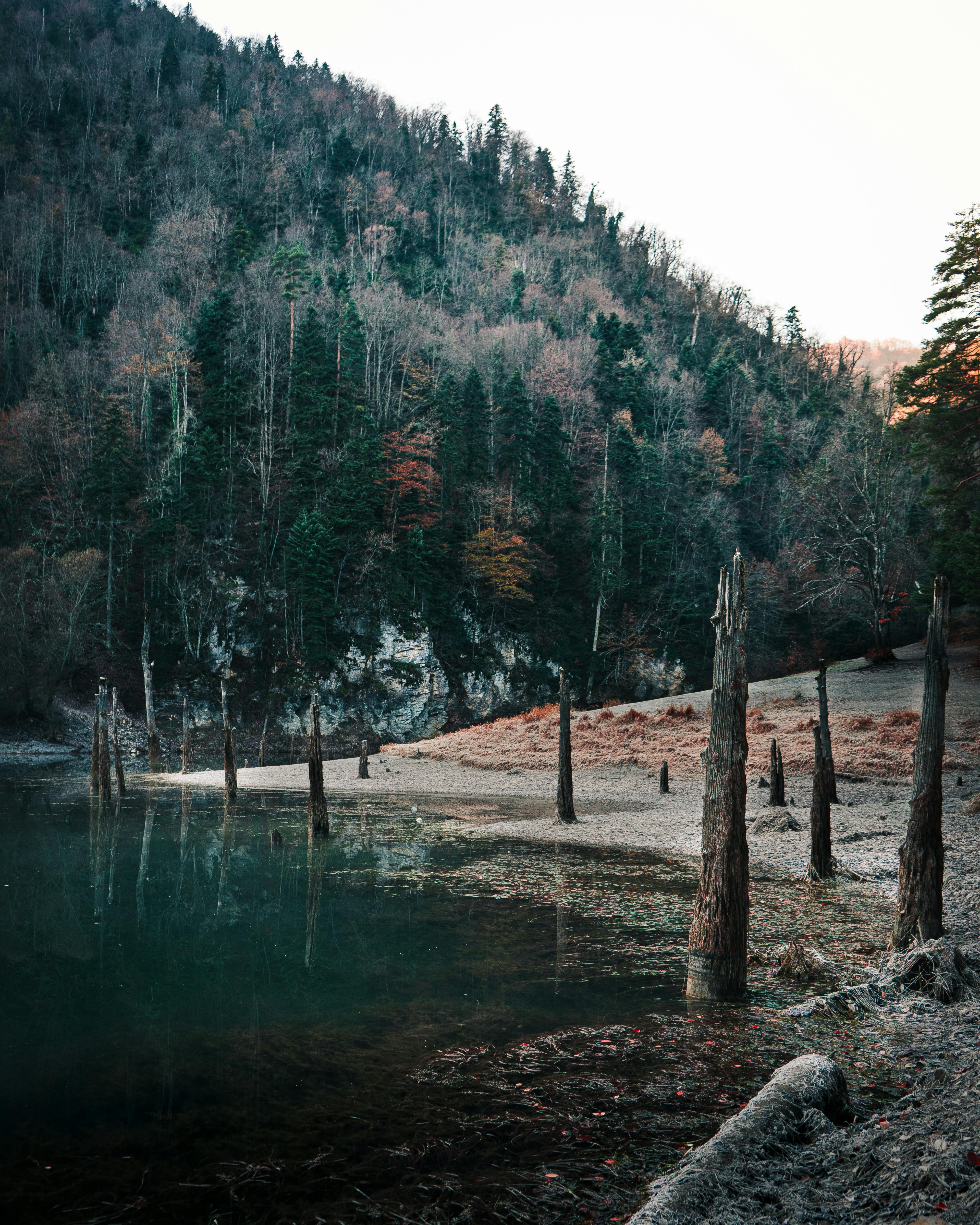 Bergsee, Nadelwald, Ufer, Hügel, Wanderer, QHD+, iPad-Hintergrundbild