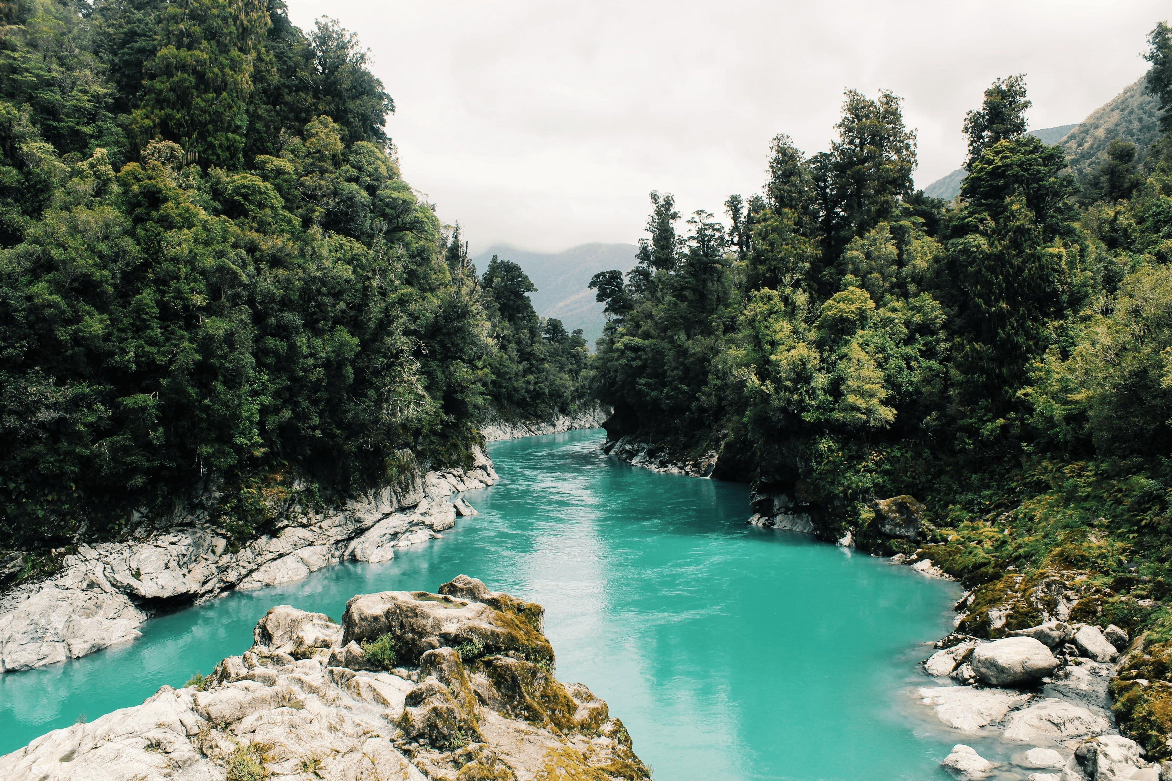 Türkiser Fluss, Felsen, Grüner Wald, Schlucht, Klares Wasser, 4K, PC-Hintergrundbild