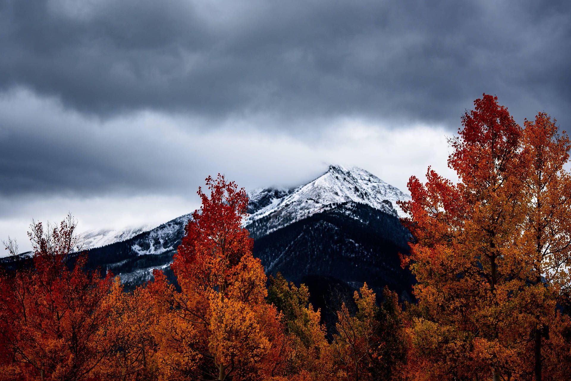 Schneegipfel, Herbstbäume, Gewitterwolken, Lärchen, Rote Blätter, Full-HD-Hintergrundbild für PC