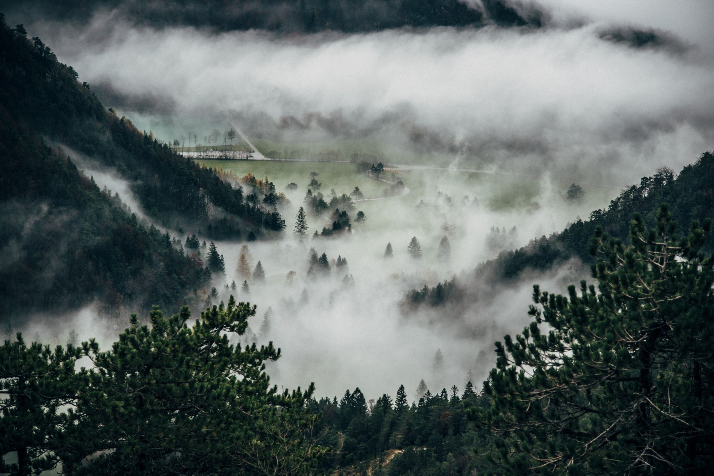 Nebel, Tal, Nadelwald, Berge, Luftaufnahme, Full HD, Desktop-Hintergrund für Windows