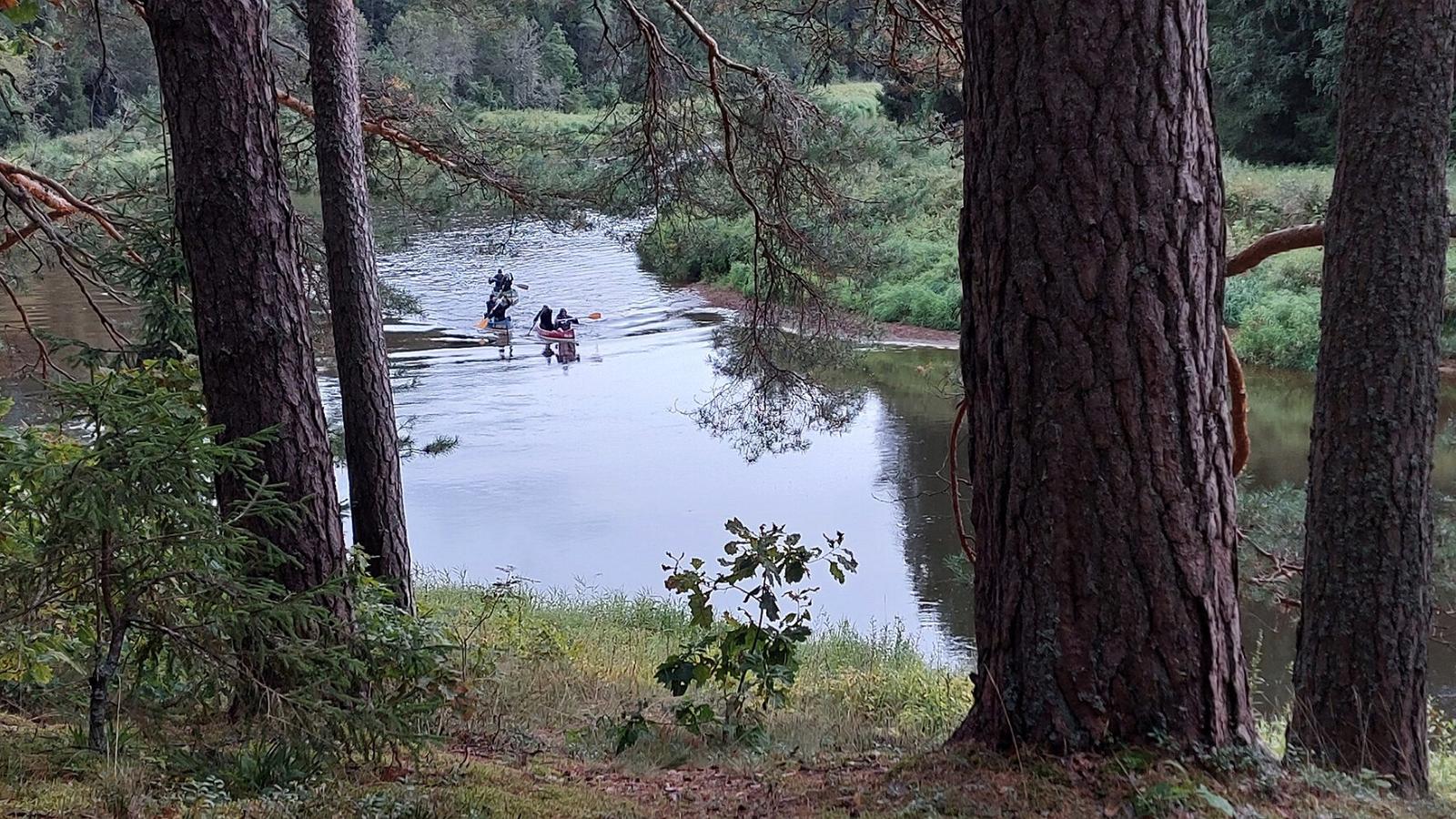 Fluss, Kiefernstämme, Kanufahrer, Wald, Sommer, 16:9, HD-Hintergrundbild für den Desktop