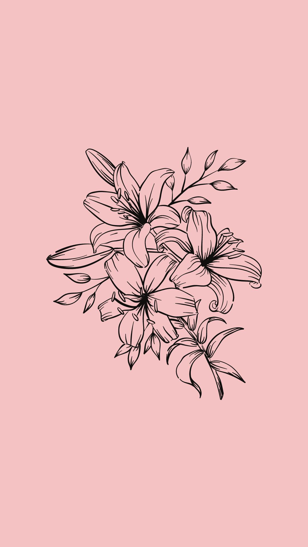 Lilien, Linienzeichnung, Rosa Hintergrund, Minimalistisch, Sperrbildschirm fürs iPhone
