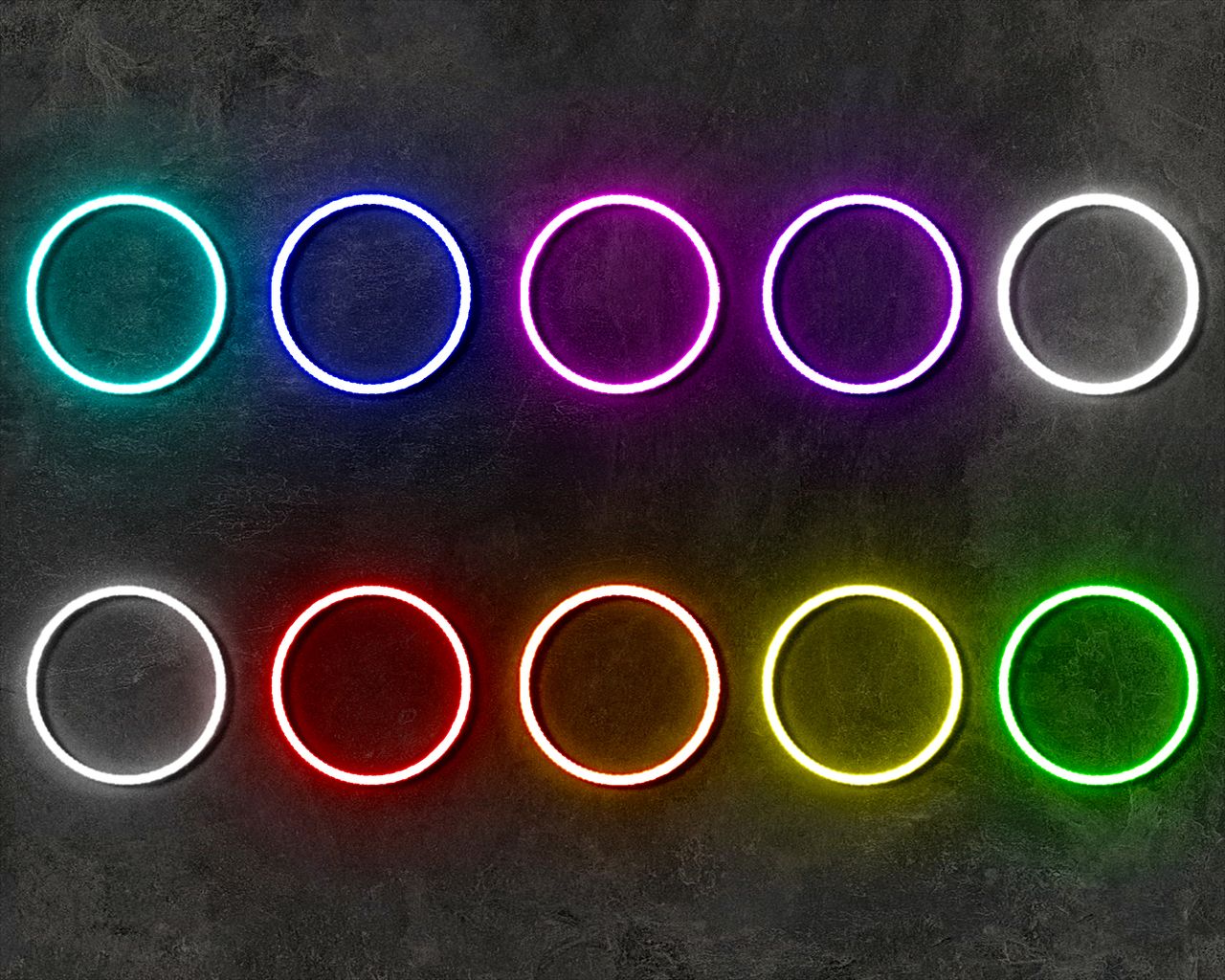 Neonringe, Kreise, Bunt, Betonwand, Muster, HD, Hintergrundbild für den PC