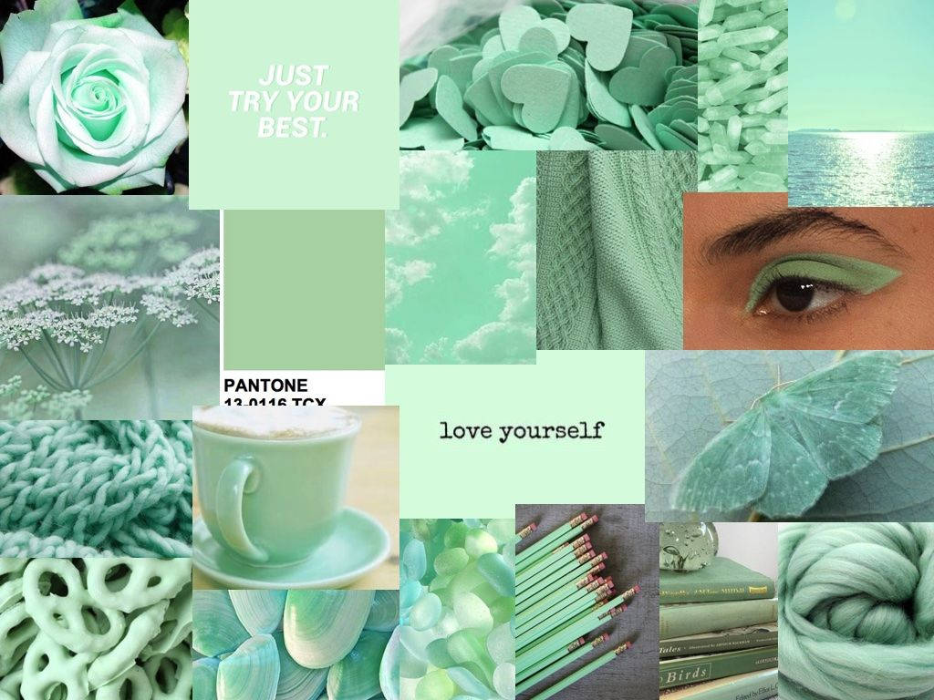 Collage, Mintgrün, Pantone, Aesthetic, Moodboard, Hintergrundbild für iPad und Tablet