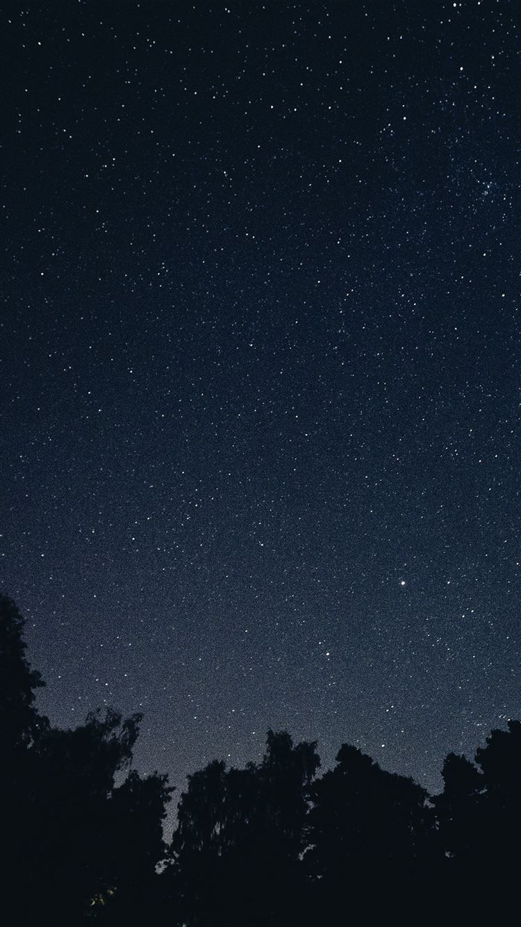 Sternenhimmel, Baumwipfel, Silhouette, Nacht, Dunkel, HD, Hintergrundbild fürs Handy