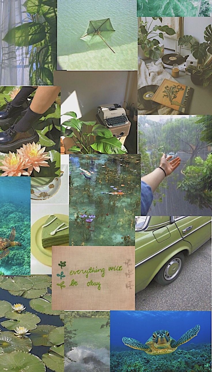 Collage, Natur, Pflanzen, Moodboard, Grün, HD, Hintergrundbild fürs Handy