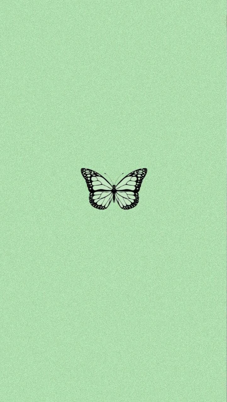 Schmetterling, Mintgrün, Minimalistisch, Pastellgrün, HD, Handy-Hintergrund im Hochformat