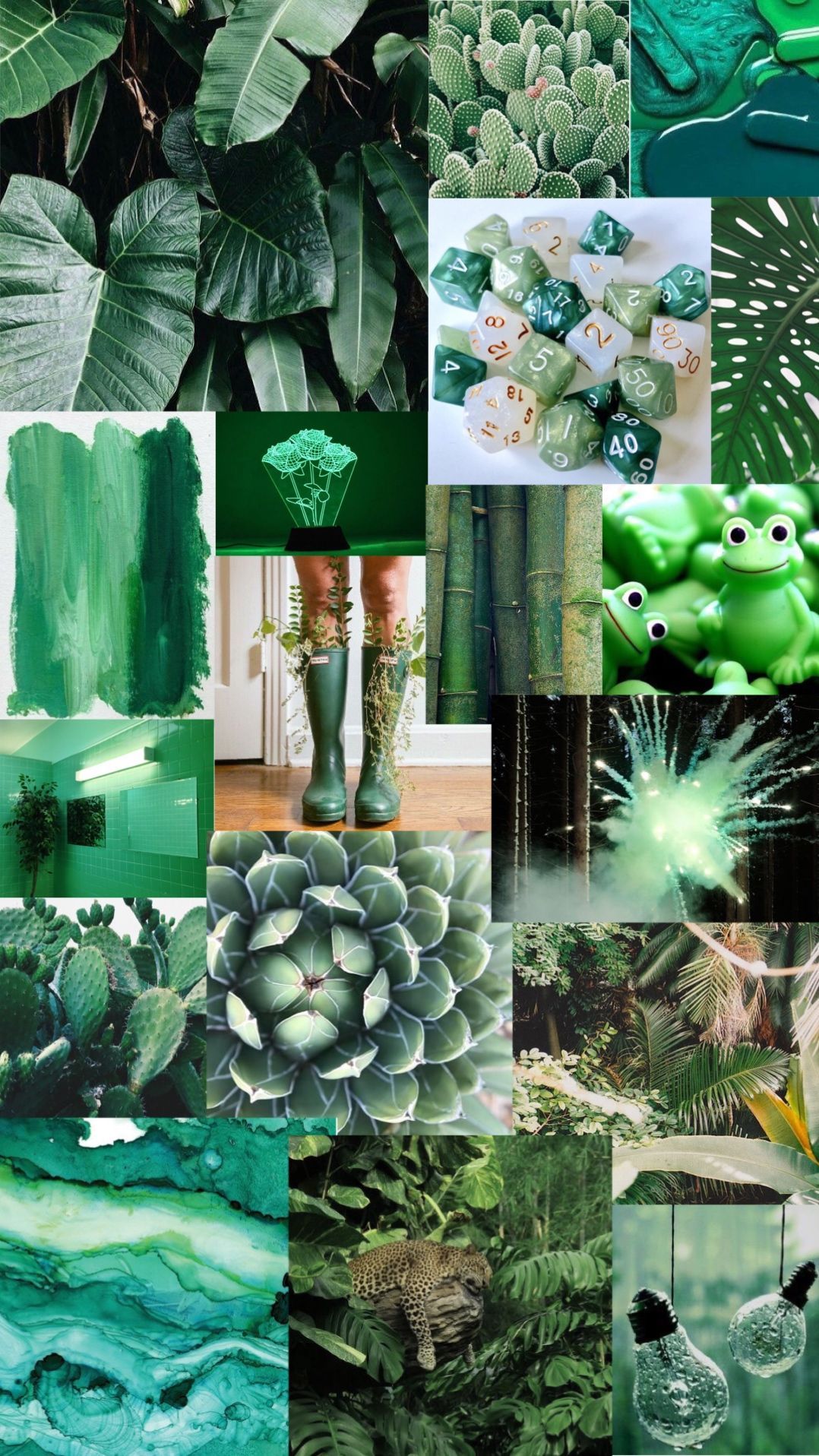 Collage, Sukkulenten, Dunkelgrün, Pflanzen, Moodboard, HD, Handy-Hintergrund im Hochformat
