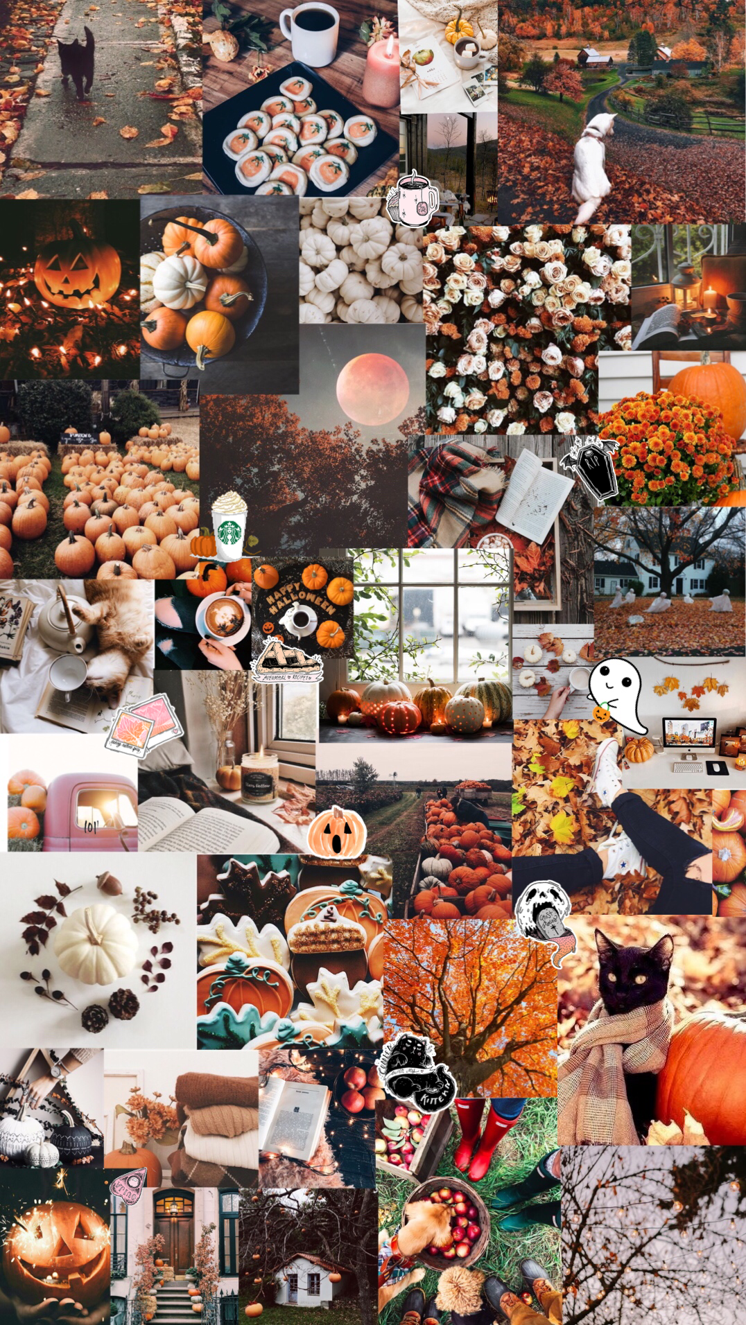 Collage, Herbst-Aesthetic, Kürbisse, Orange, Fotowand, HD, Sperrbildschirm fürs iPhone