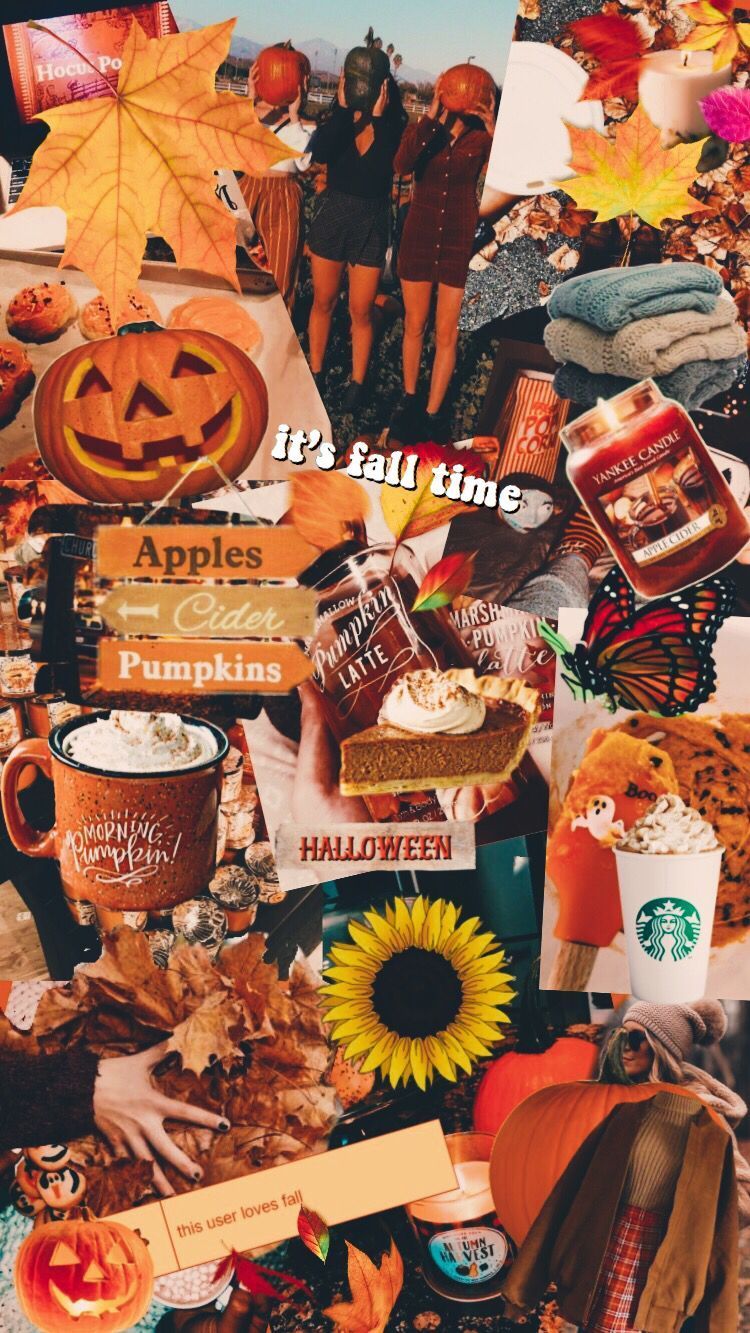 Collage, Herbst, Kürbisse, Sonnenblumen, Aesthetic, Hochformat, Hintergrundbild fürs Smartphone