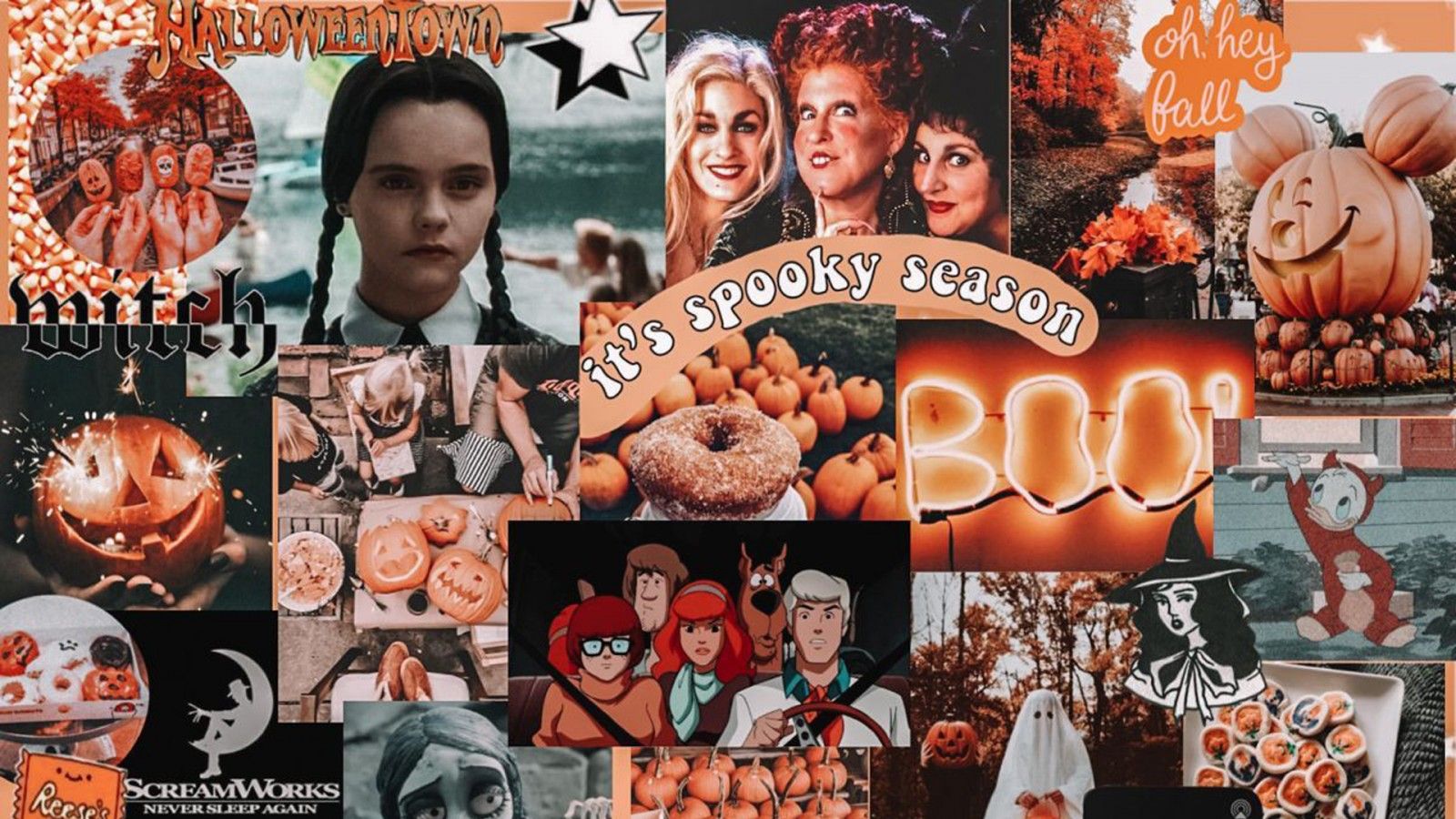Wednesday Addams, Hocus Pocus, Scooby-Doo, Spooky Season, Collage, Boo, HD-Hintergrundbild für PC