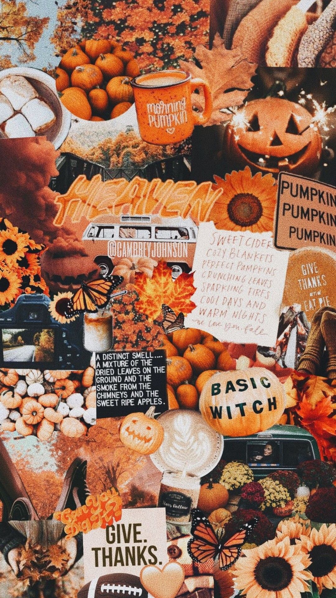 Collage, Herbst-Aesthetic, Kürbisse, Orange, Gemütlich, Full HD, Handy-Hintergrund im Hochformat