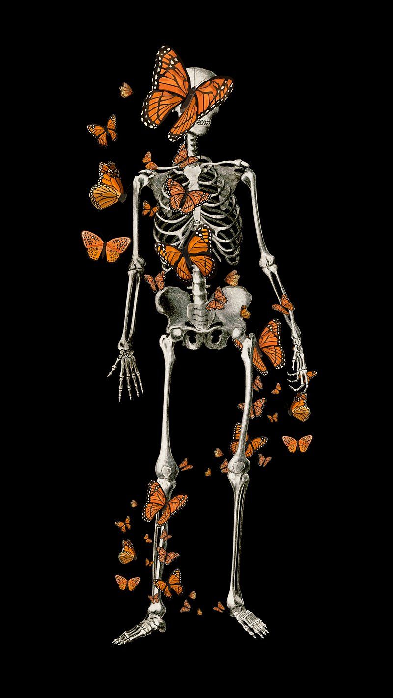 Skelett, Blätter, Schmetterlinge, Schwarzer Hintergrund, Orange, Sperrbildschirm fürs iPhone