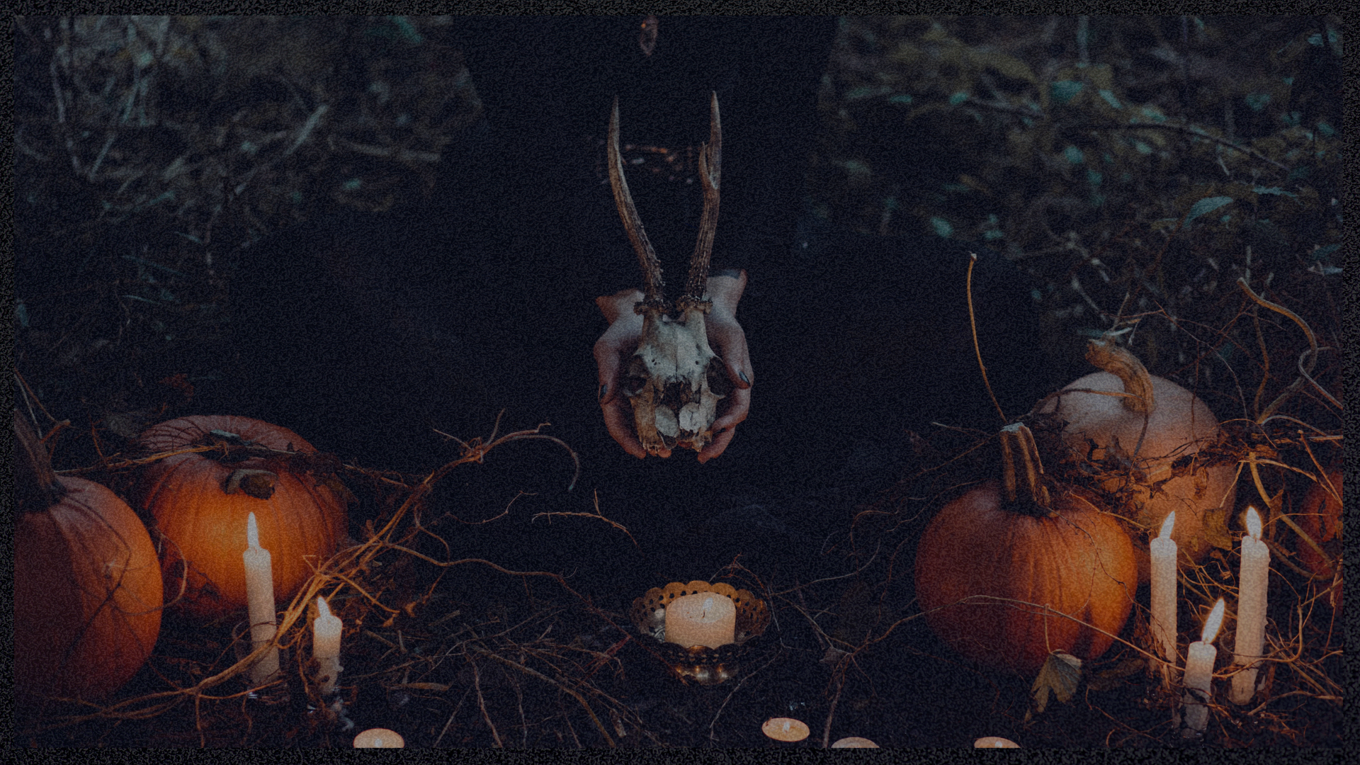 Kürbisse, Kerzen, Tierschädel, Ritual, Dunkel, Full HD 1080p, Desktop-Hintergrundbild