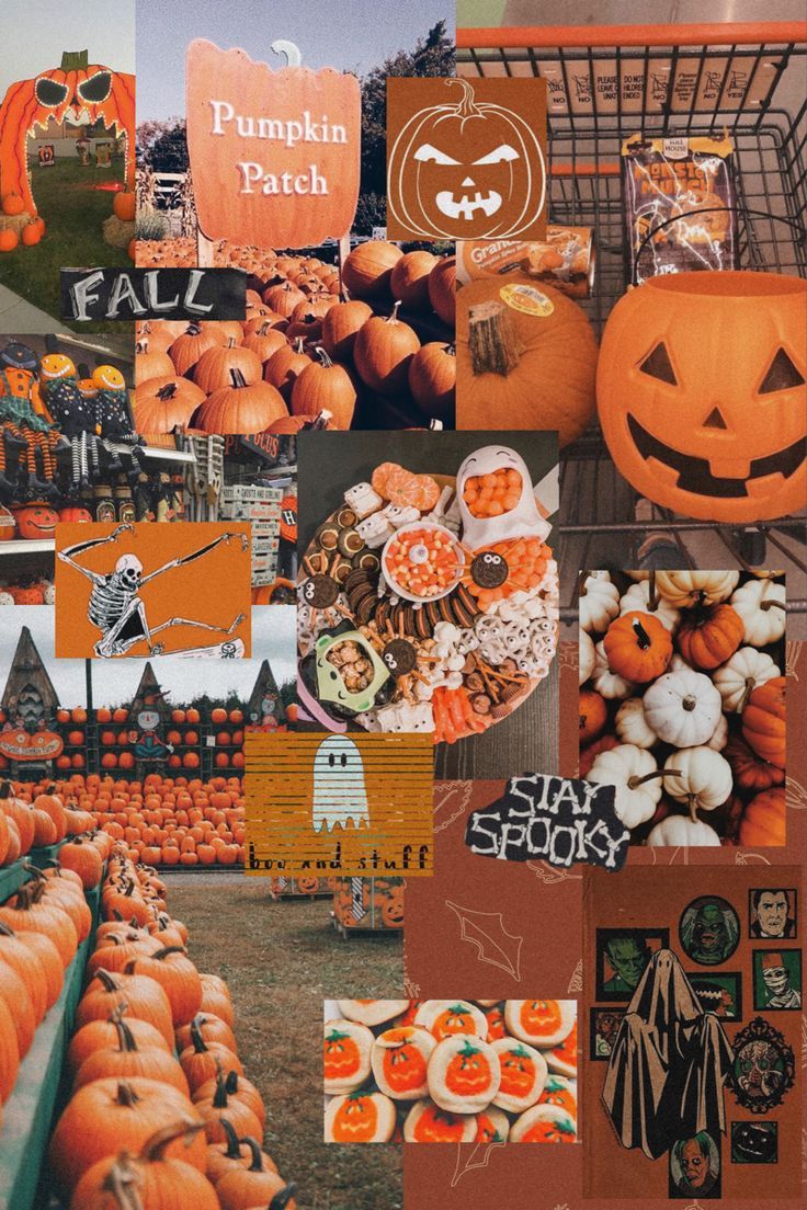 Collage, Pumpkin Patch, Herbst, Aesthetic, Orange, HD, Hintergrundbild fürs Handy