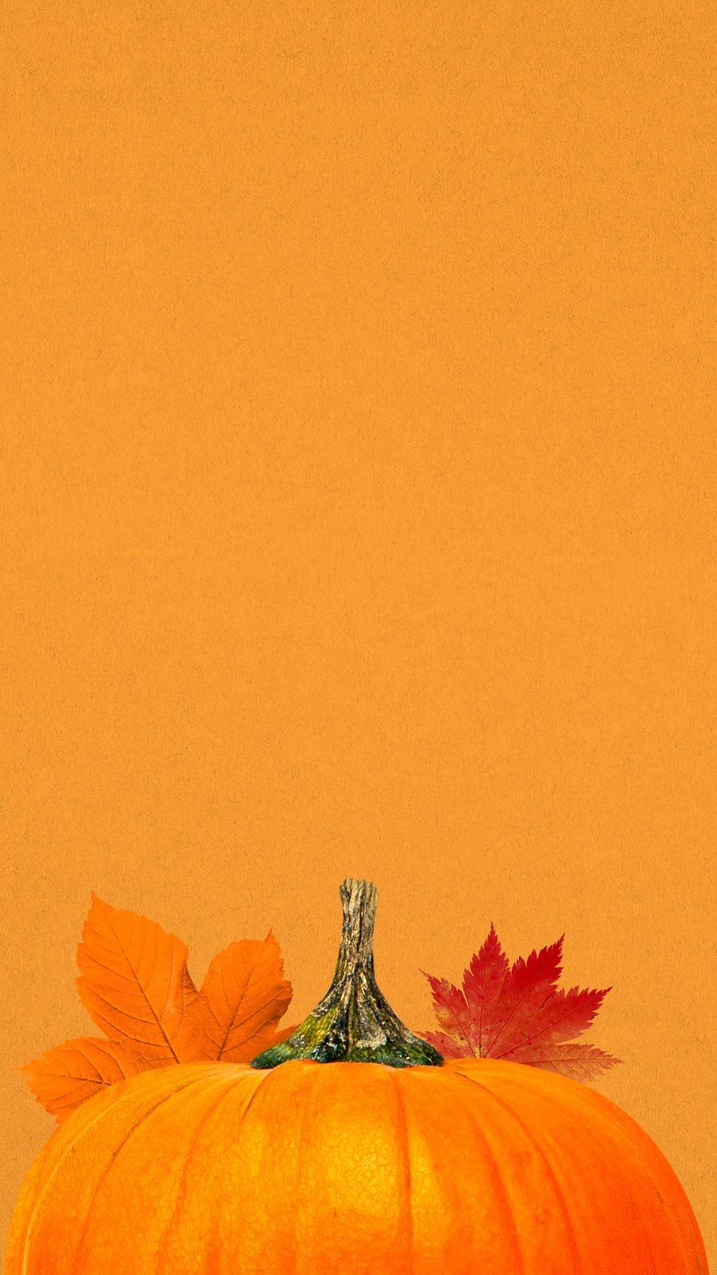 Kürbis, Herbstblätter, Orange, Minimalistisch, HD, Hintergrundbild fürs Handy