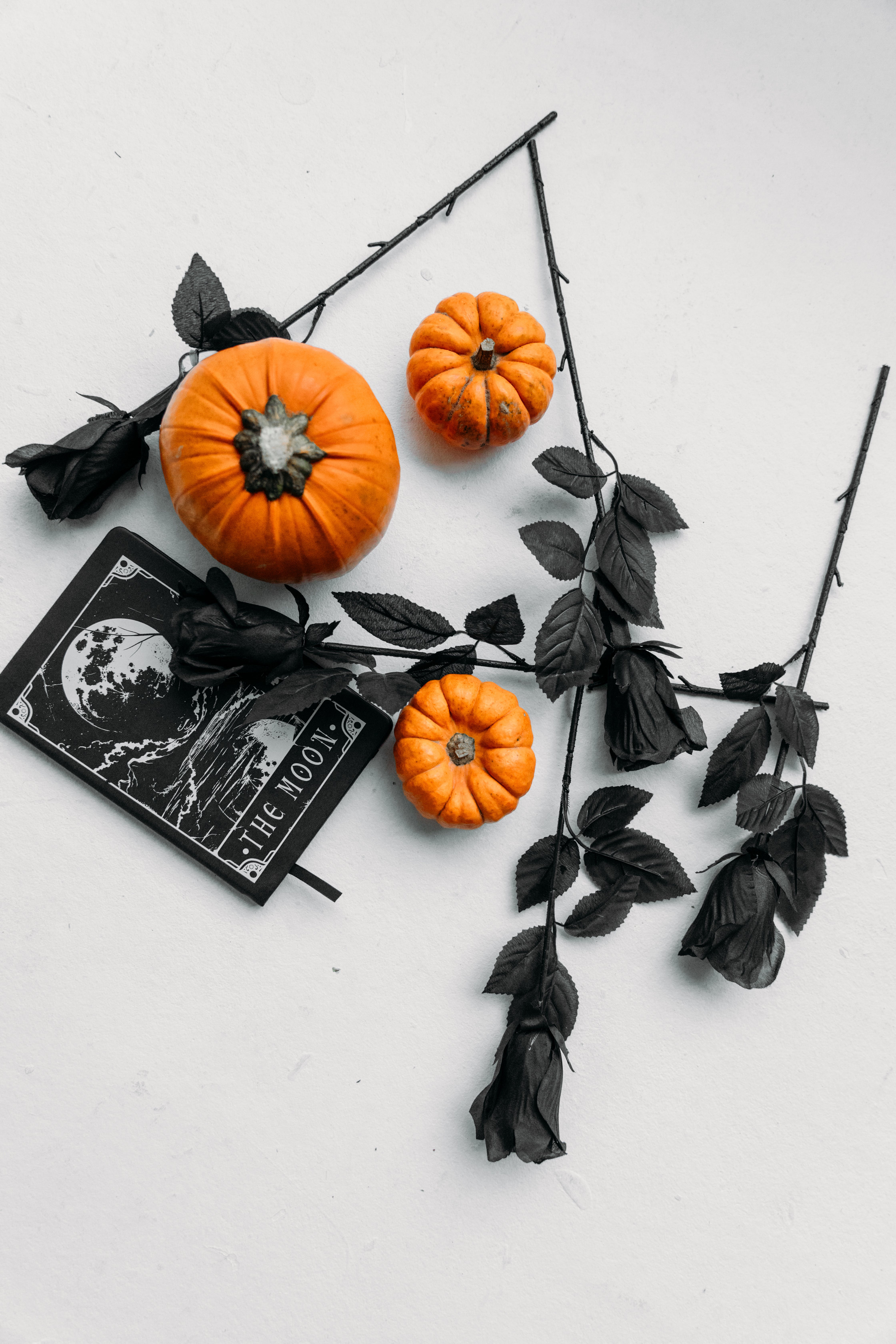 Schwarze Rosen, Kürbisse, Flatlay, Gotisch, Weißer Hintergrund, Sperrbildschirm fürs iPhone